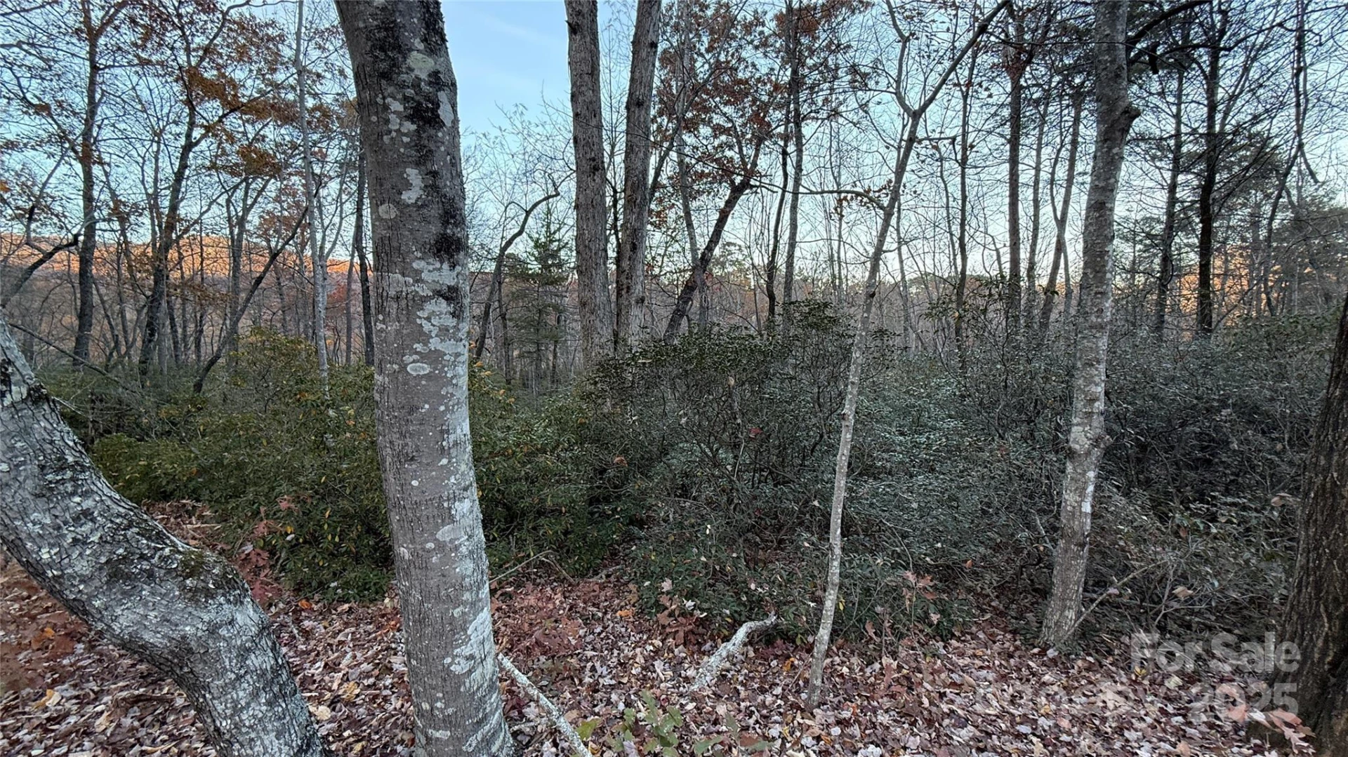 0 Quail Ridge Road - Photo 11