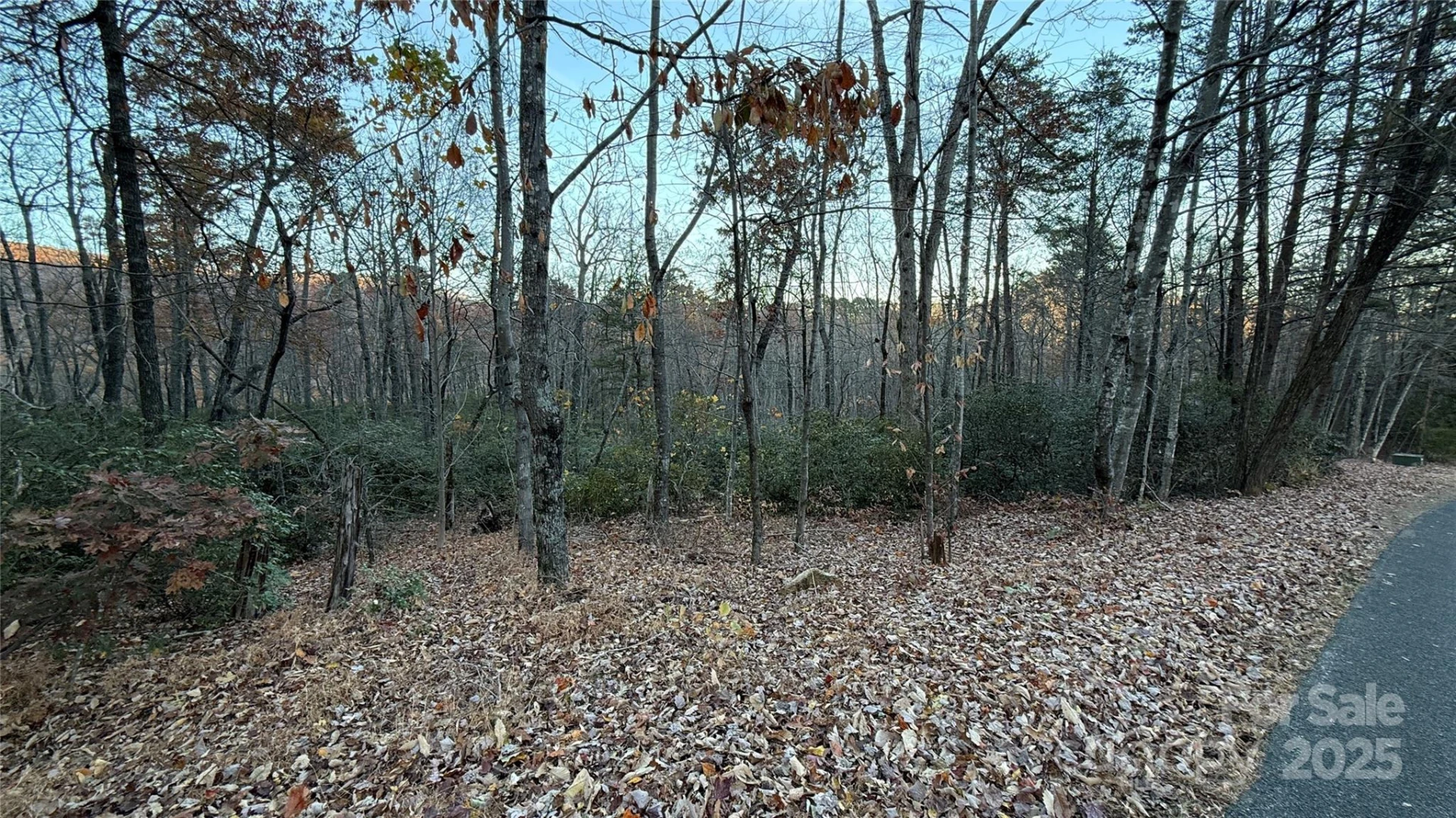 0 Quail Ridge Road - Photo 12