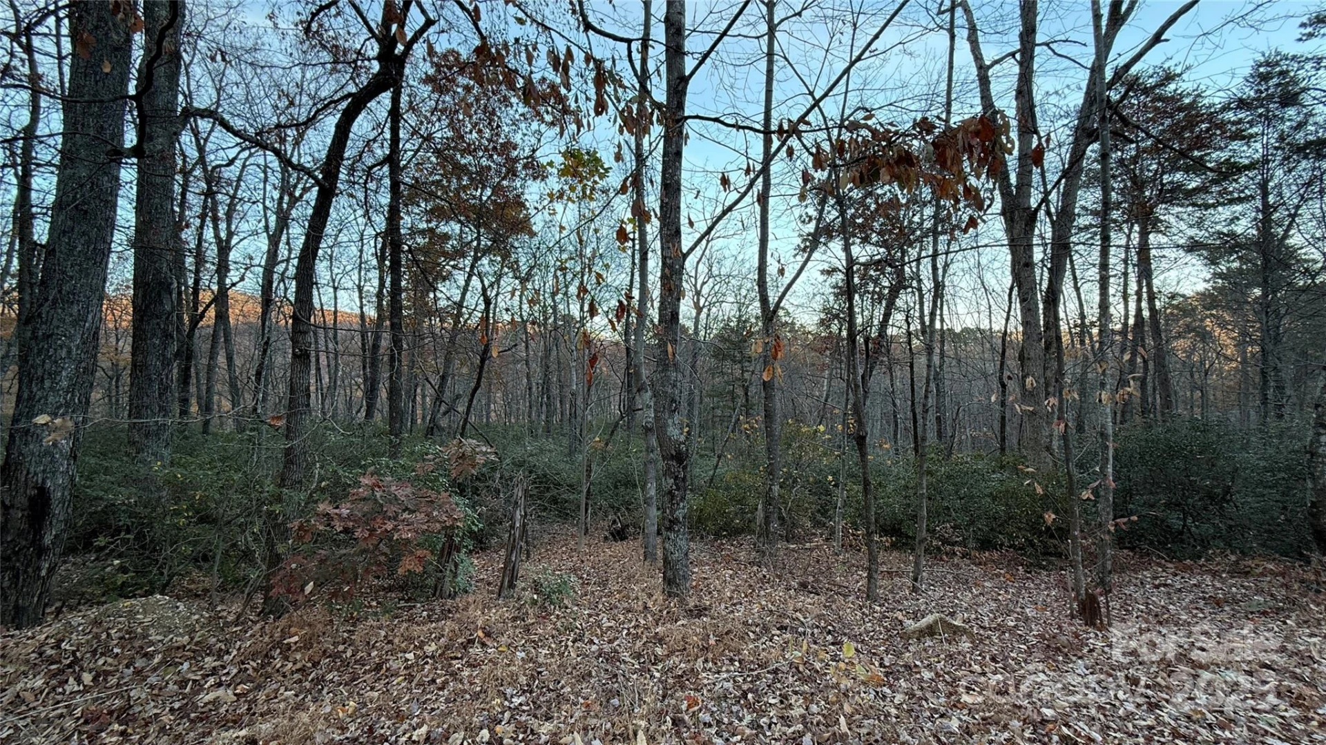 0 Quail Ridge Road - Photo 13