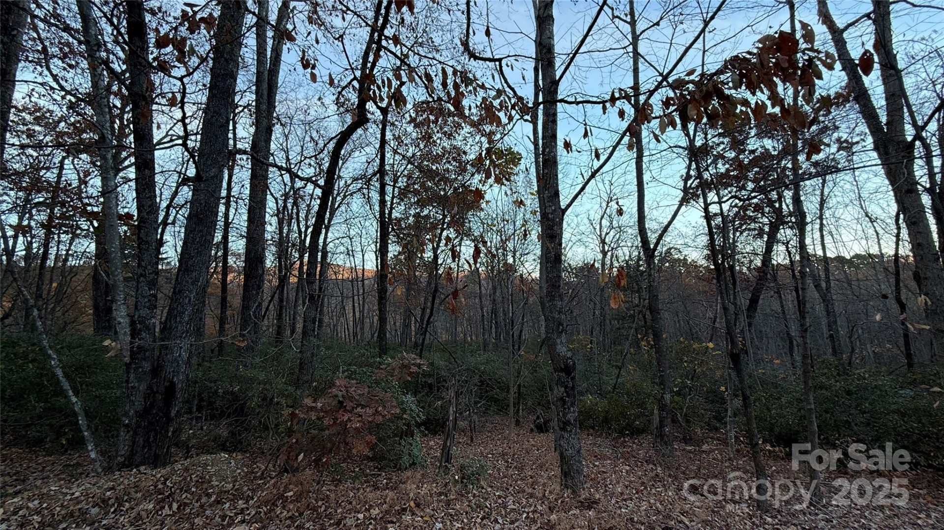 0 Quail Ridge Road - Photo 15