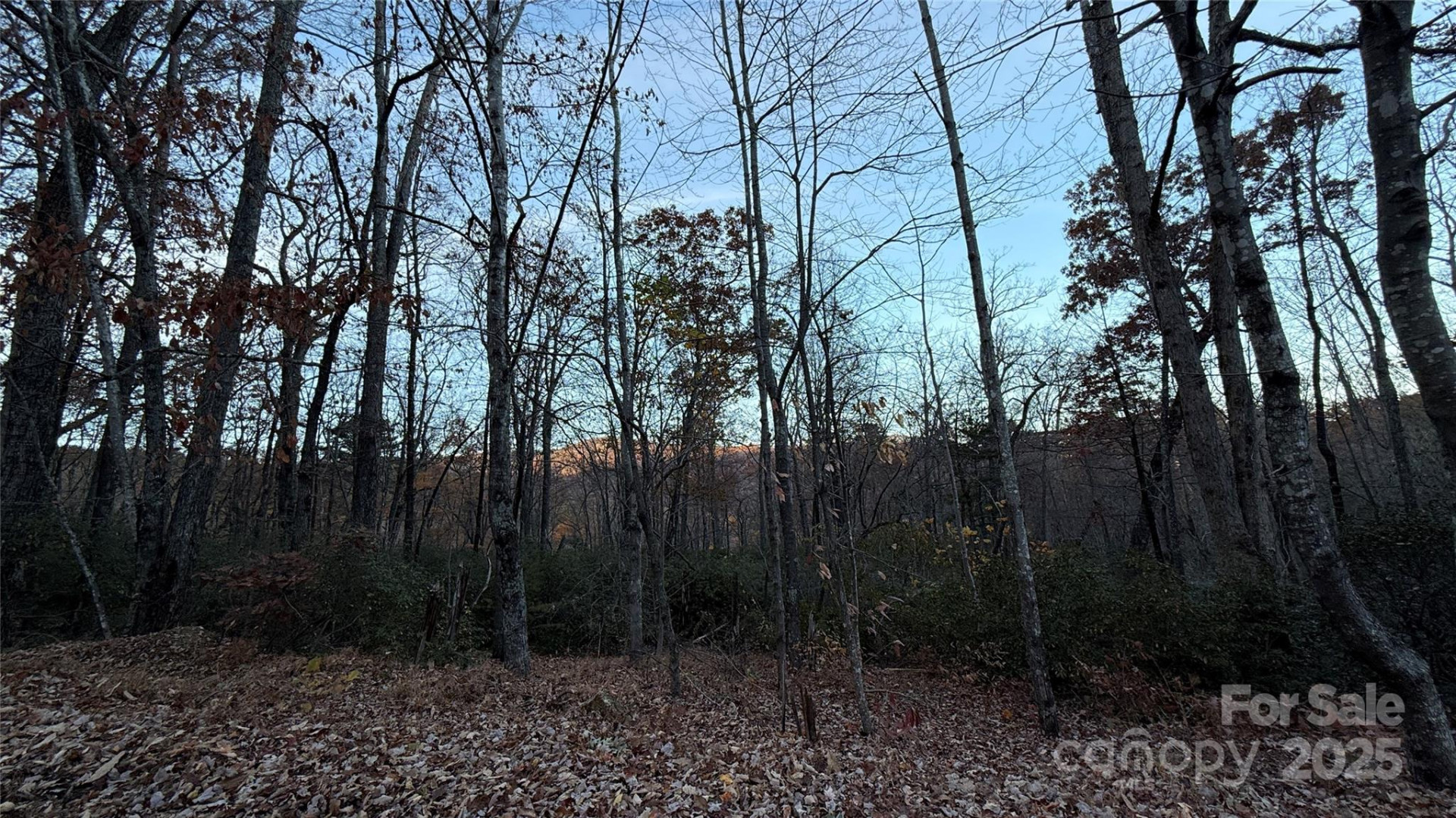 0 Quail Ridge Road - Photo 21