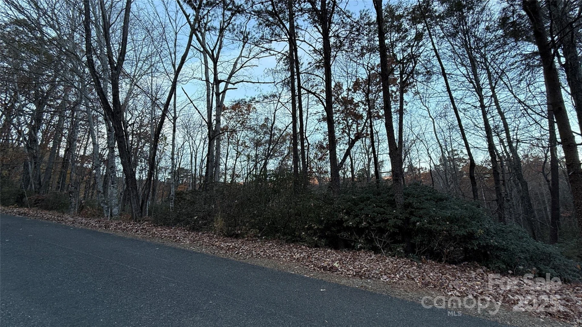 0 Quail Ridge Road - Photo 9