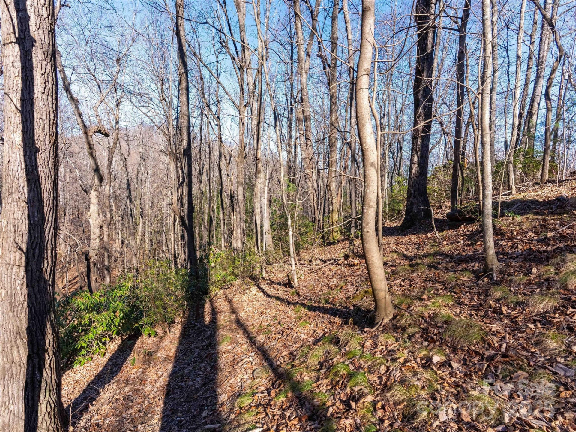 00 Mountain Page Road #17,18,19 - Photo 12