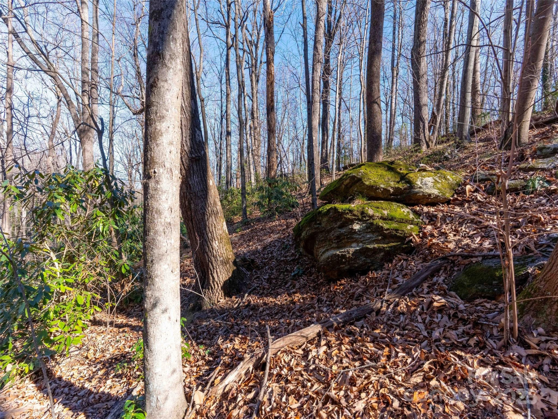 00 Mountain Page Road #17,18,19 - Photo 13