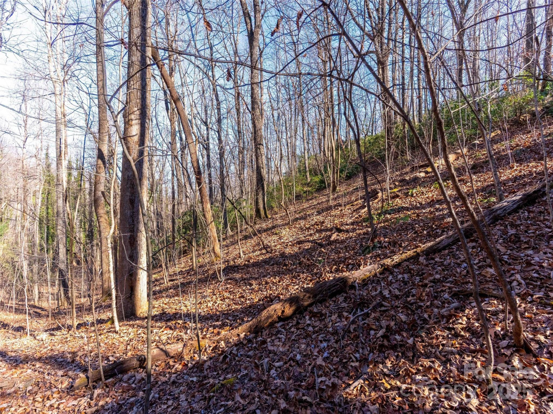 00 Mountain Page Road #17,18,19 - Photo 14