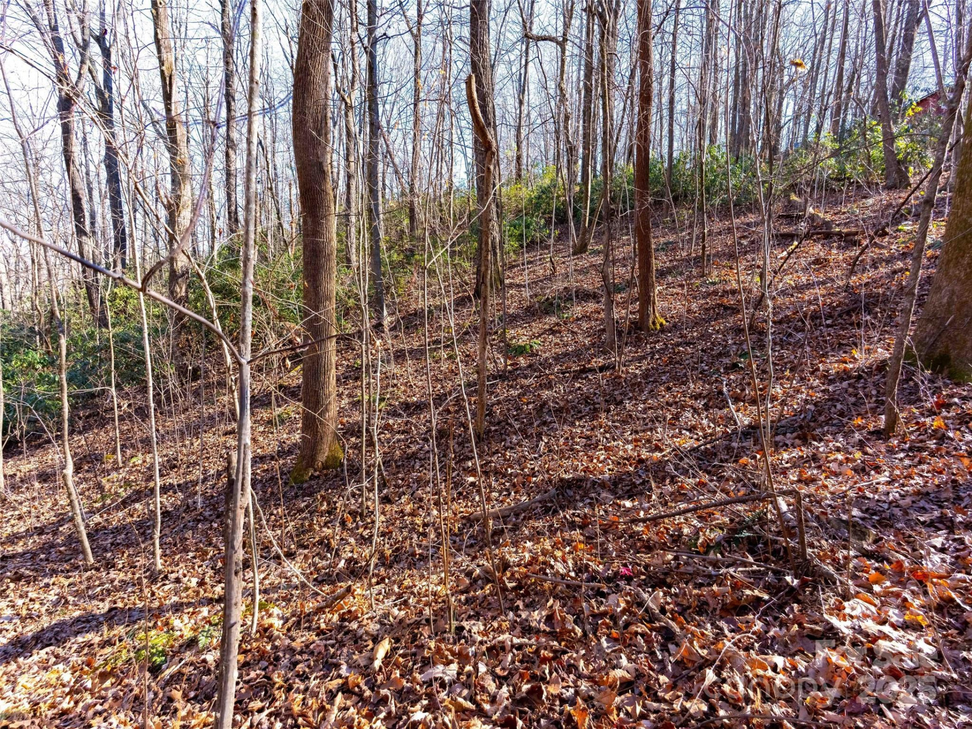 00 Mountain Page Road #17,18,19 - Photo 15