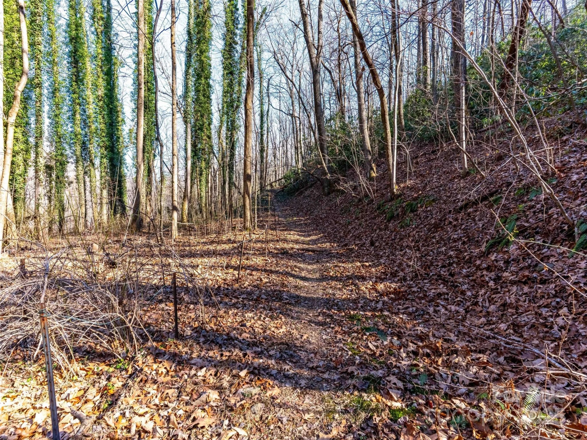 00 Mountain Page Road #17,18,19 - Photo 16