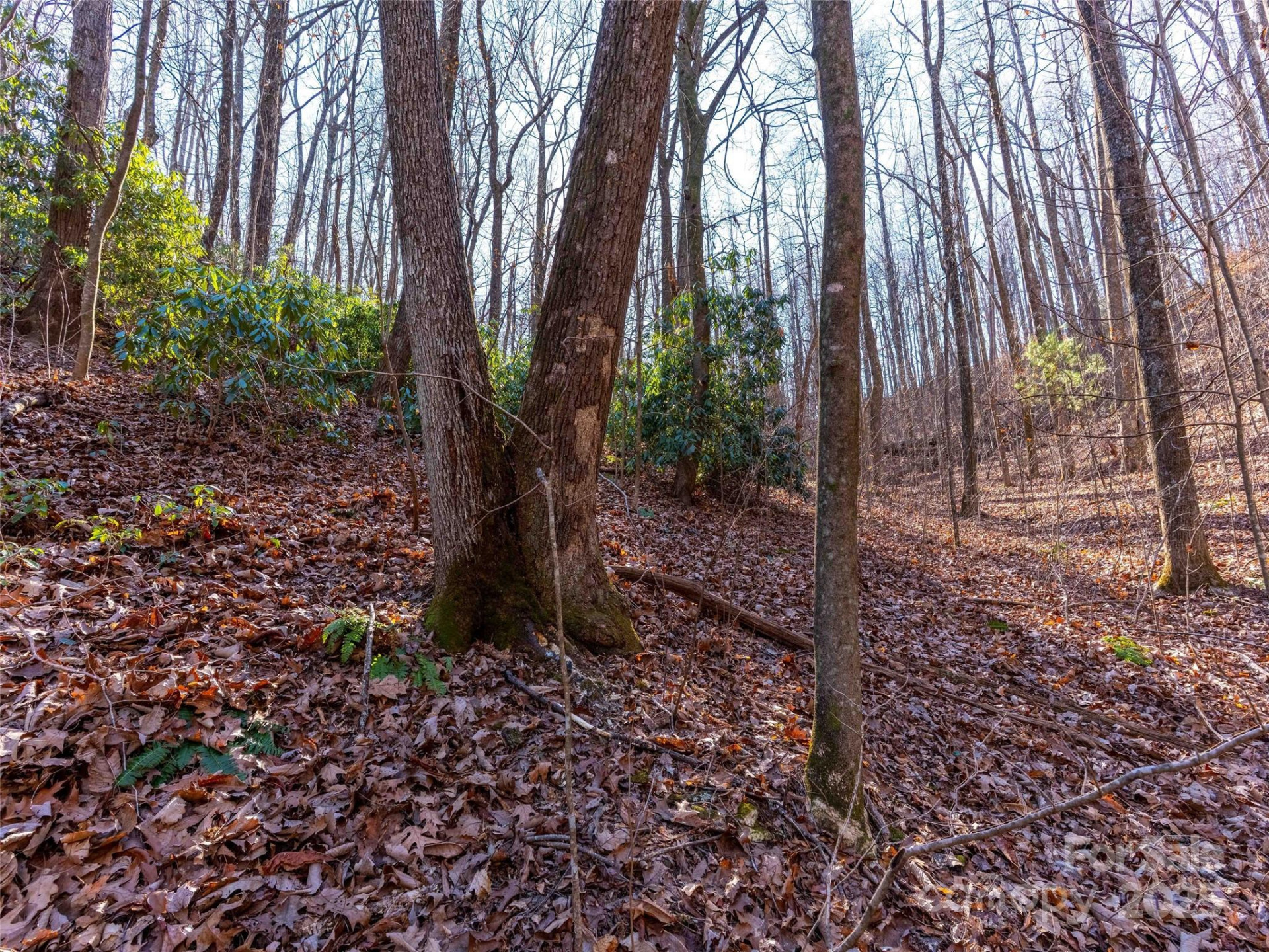 00 Mountain Page Road #17,18,19 - Photo 17