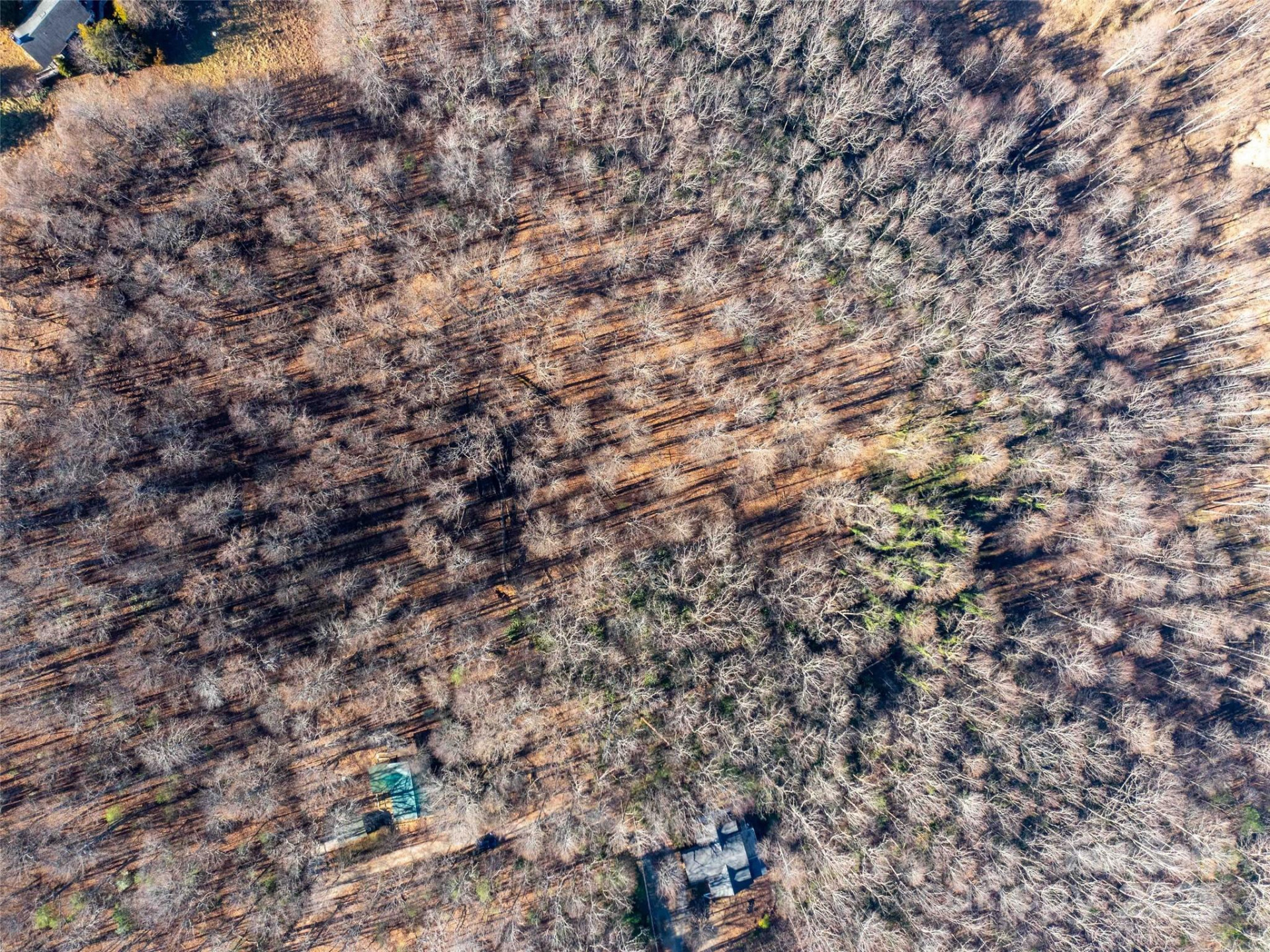 00 Mountain Page Road #17,18,19 - Photo 4