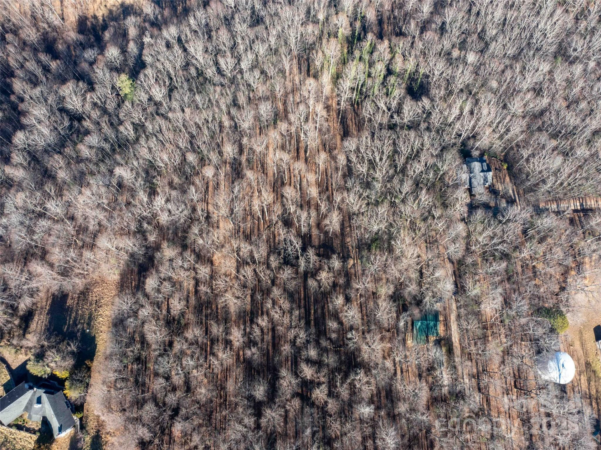 00 Mountain Page Road #17,18,19 - Photo 6