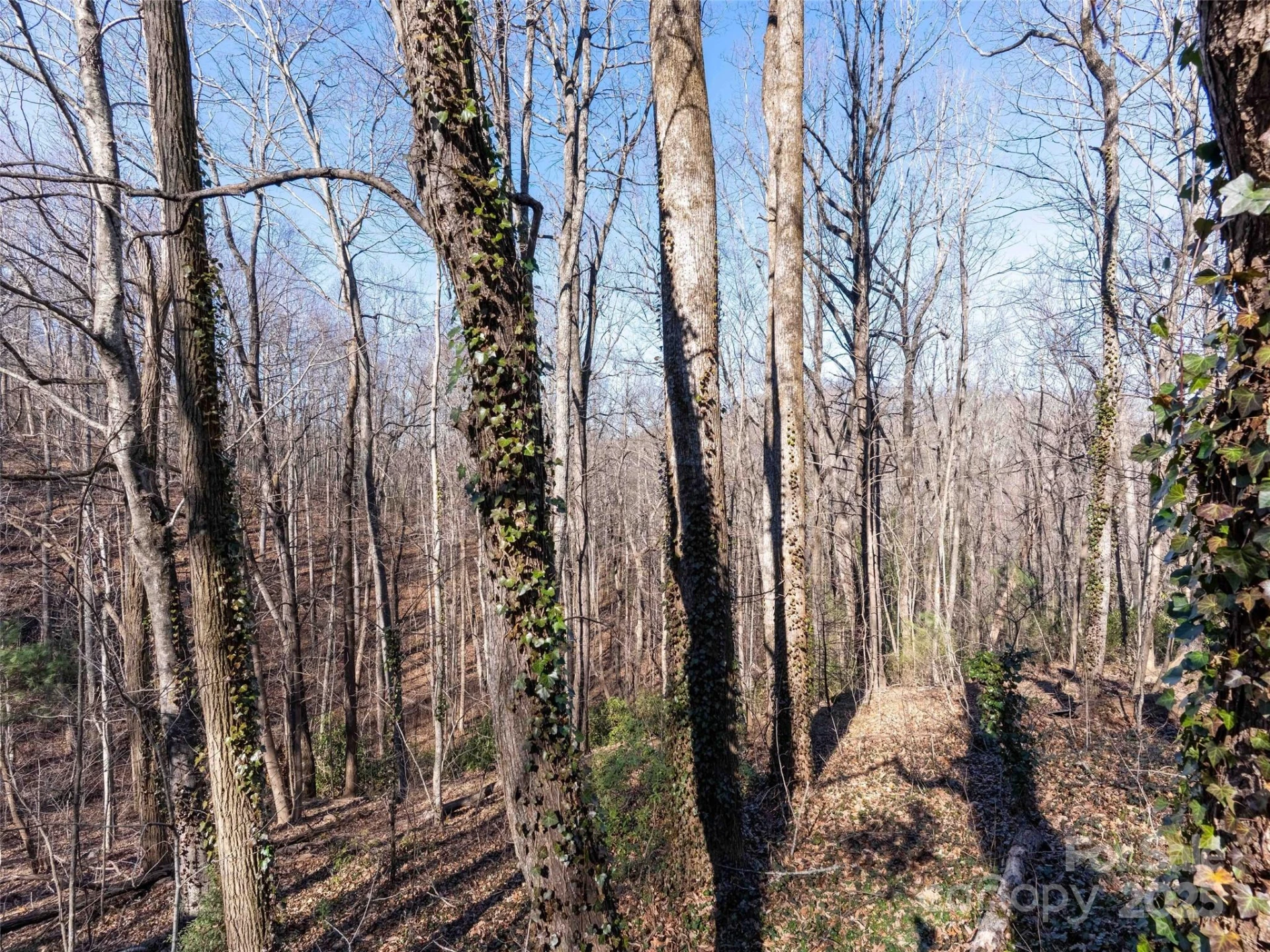 00 Mountain Page Road #17,18,19 - Photo 10