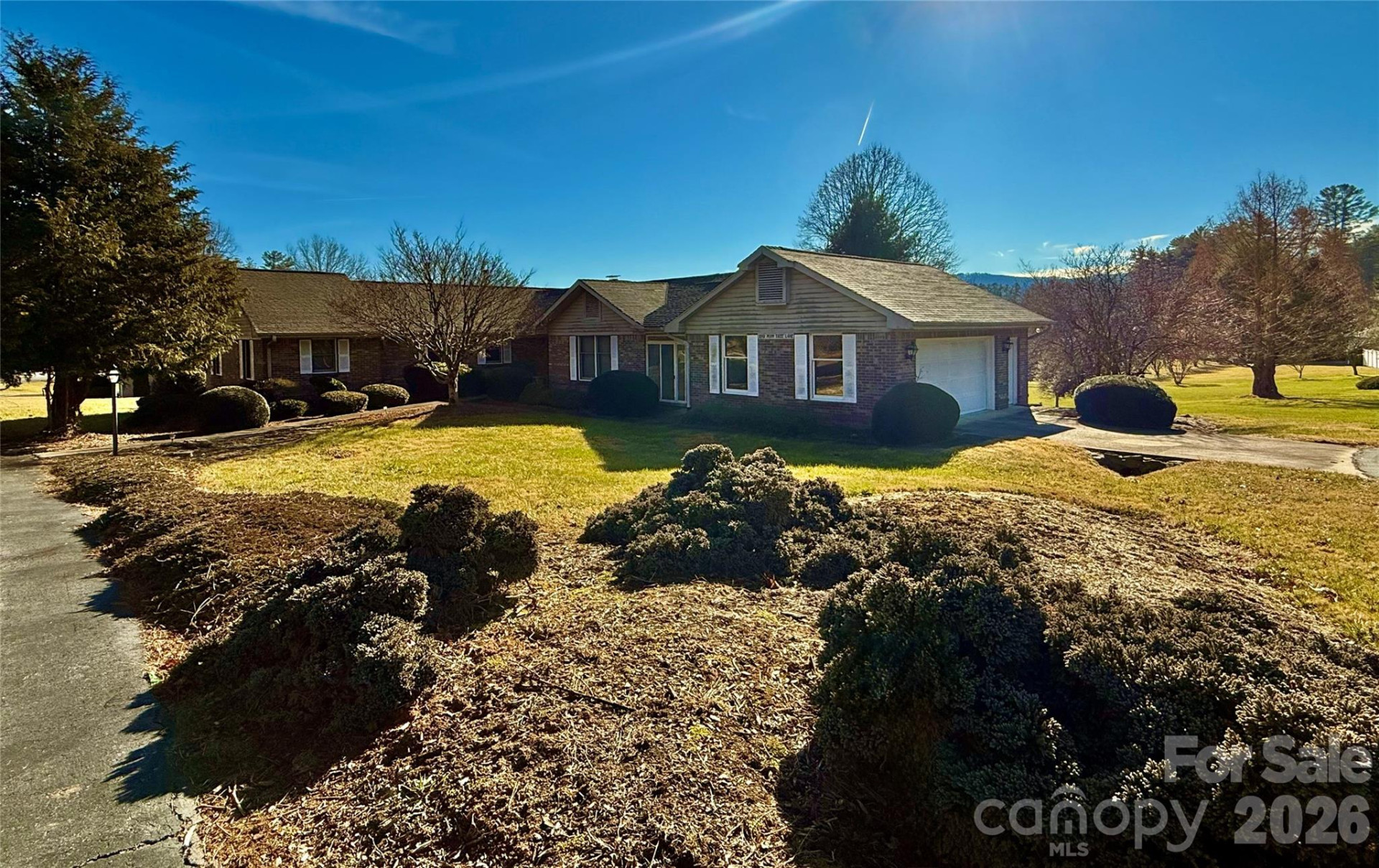 2001 Plum Tree Lane - Photo 4