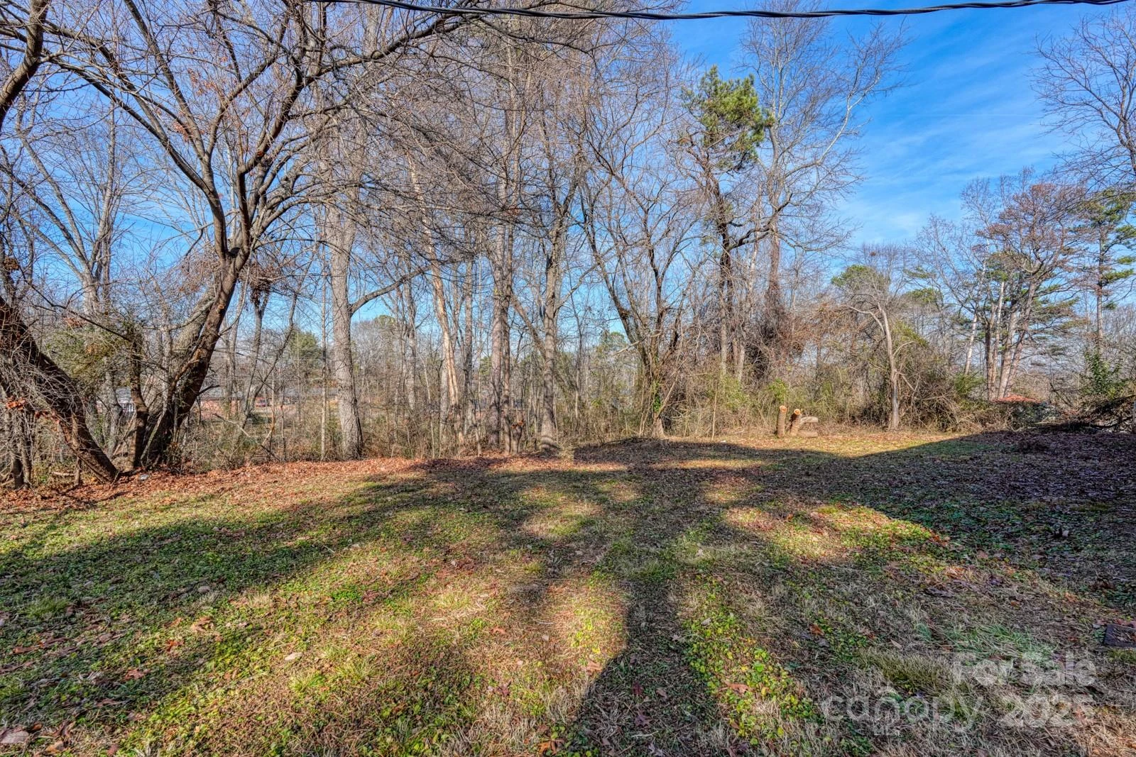 203 Seitz Drive - Photo 27