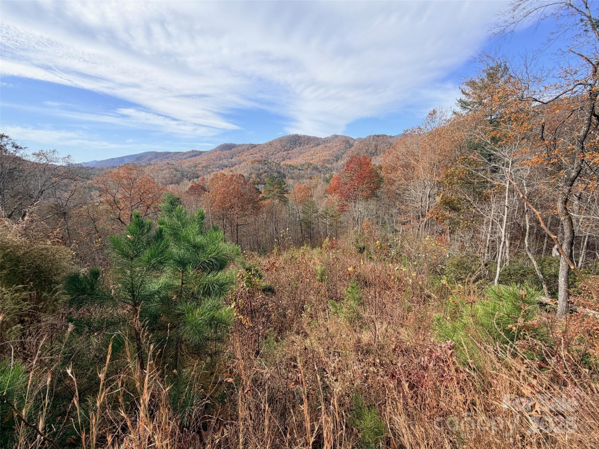 148 Rocky Mountain Drive - Photo 2