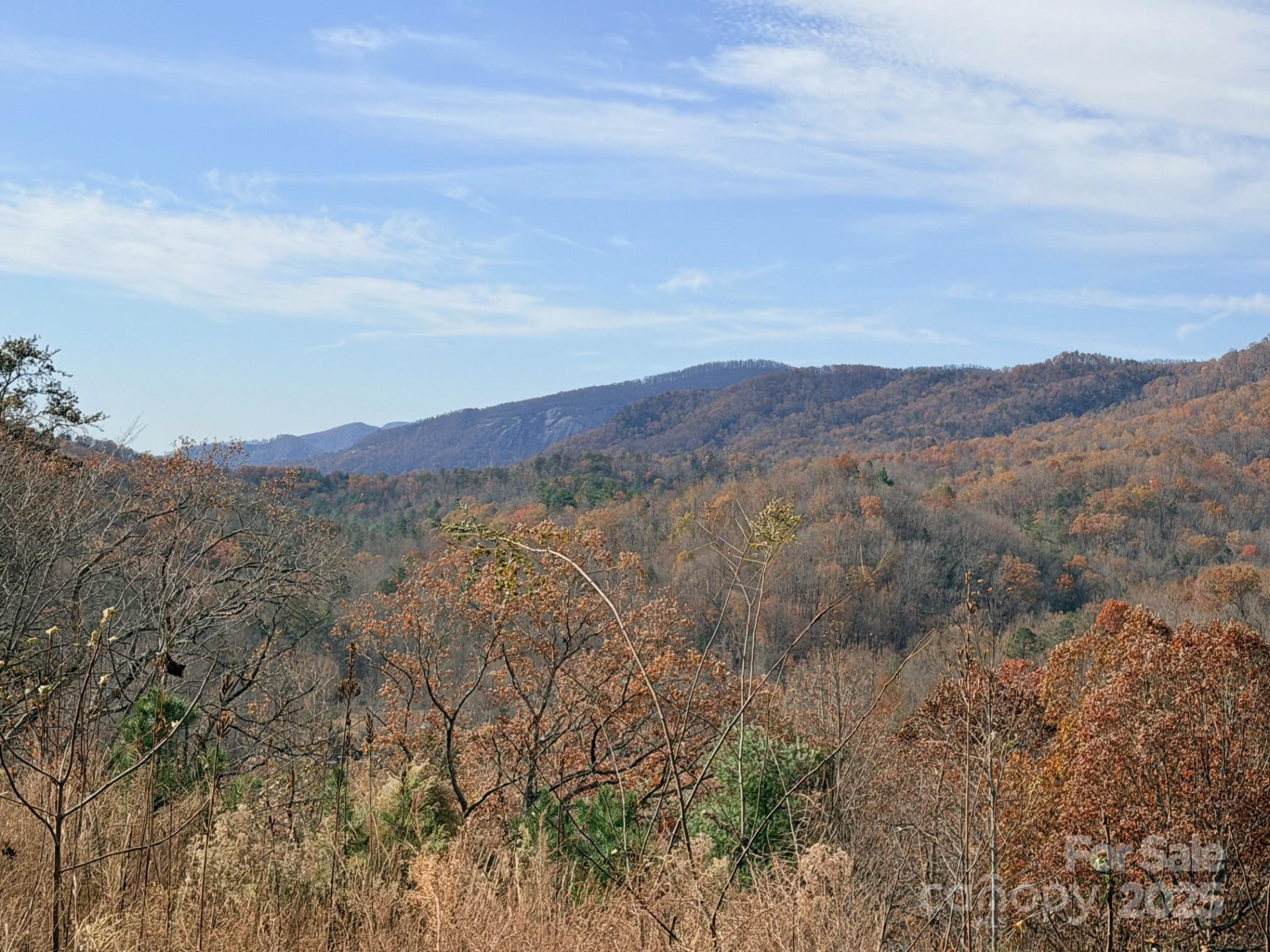 148 Rocky Mountain Drive - Photo 3