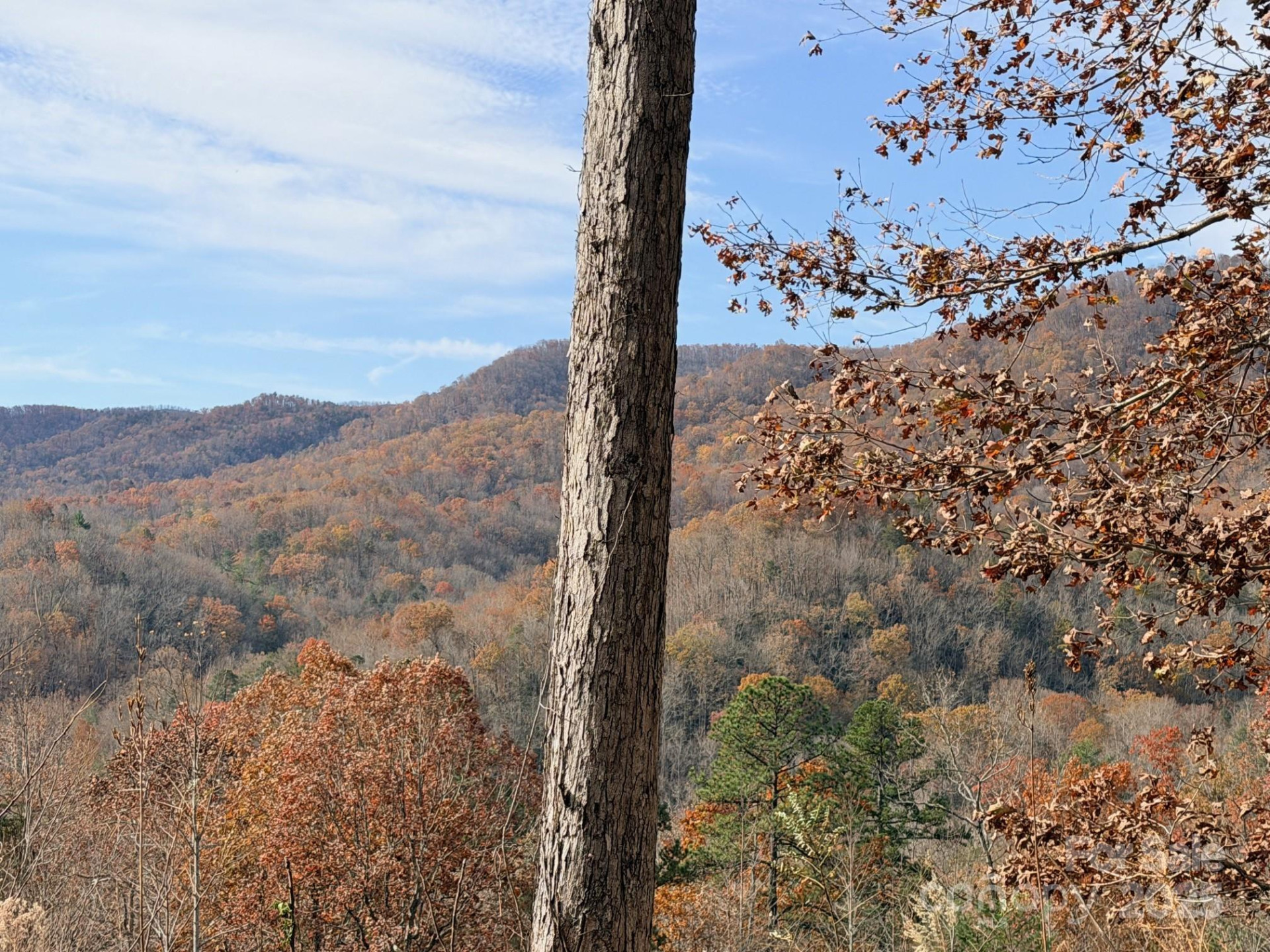 148 Rocky Mountain Drive - Photo 5