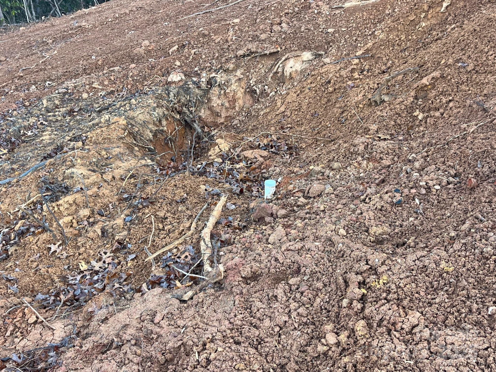 91 Westview Drive - Photo 12