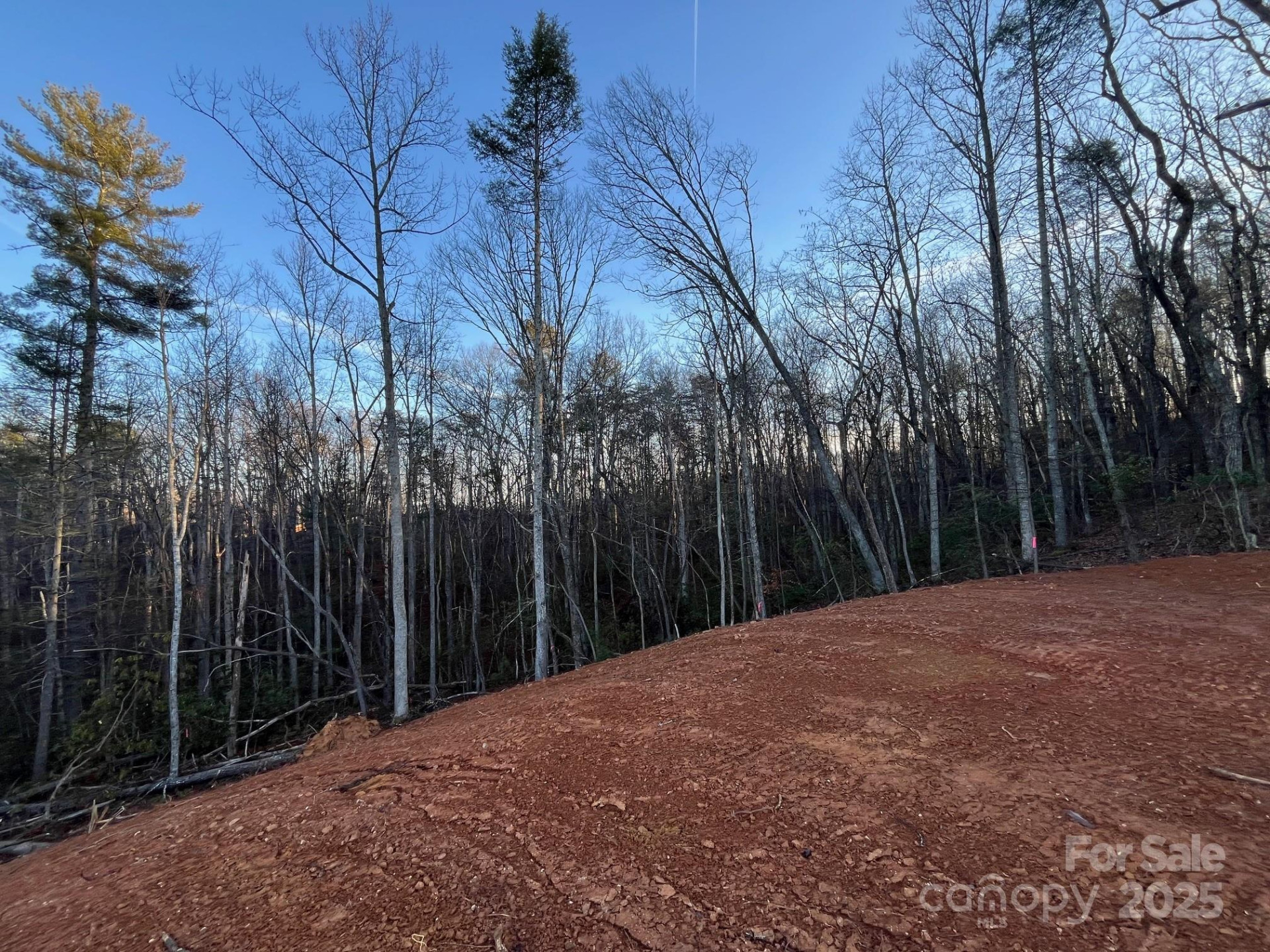 91 Westview Drive - Photo 4