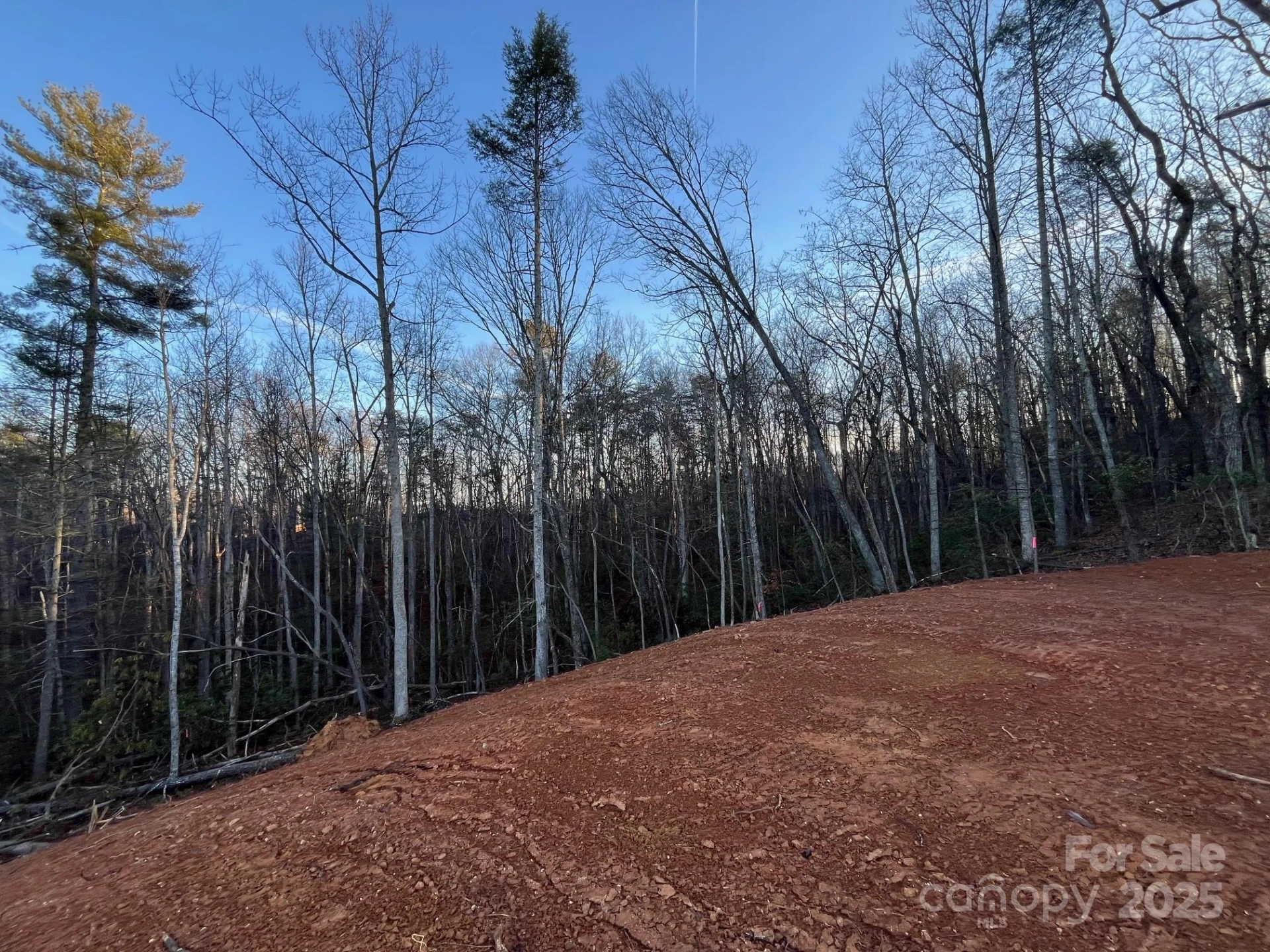 91 Westview Drive - Photo 4