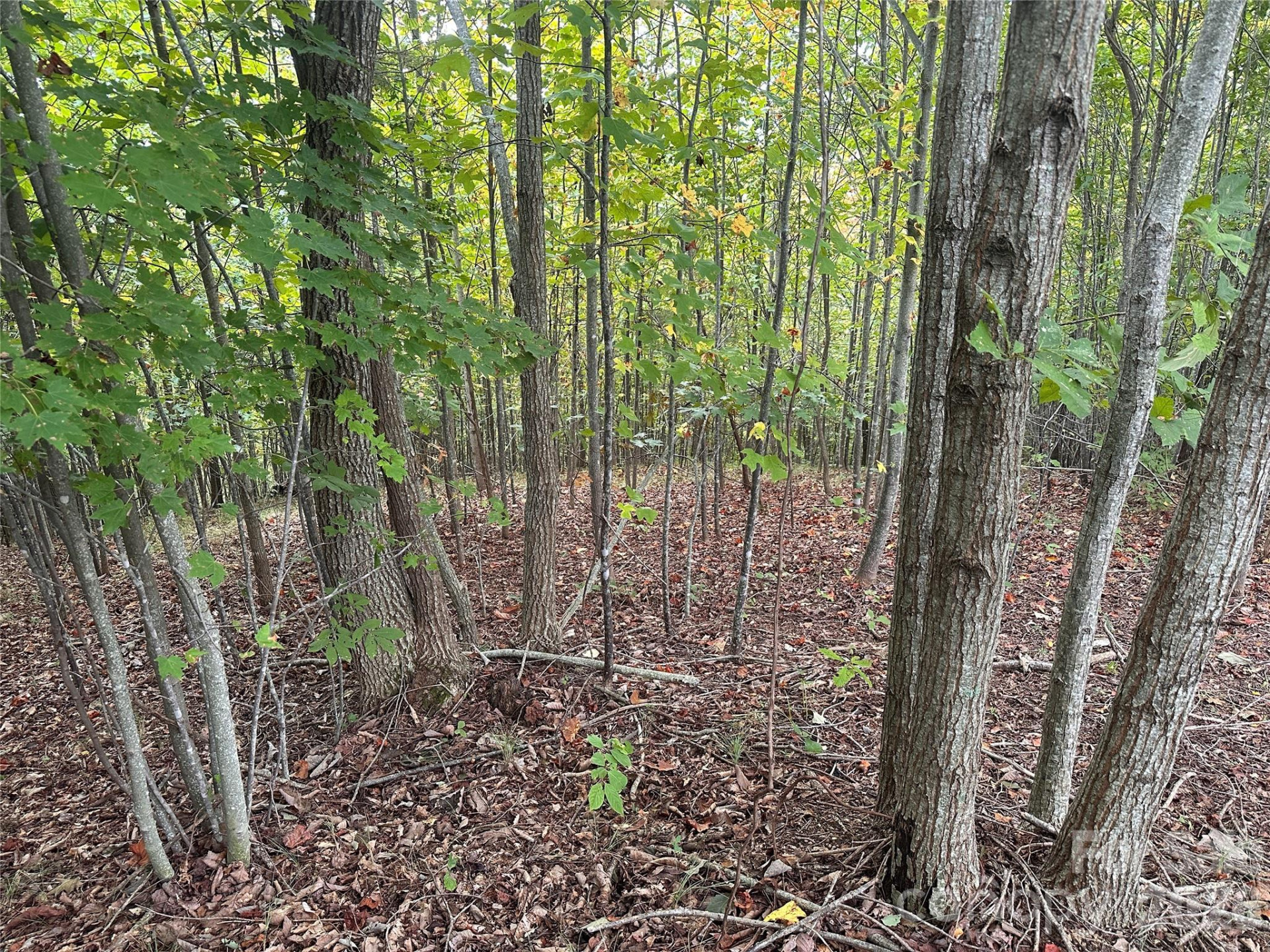 311 Scenic Vista Drive #254 - Photo 2