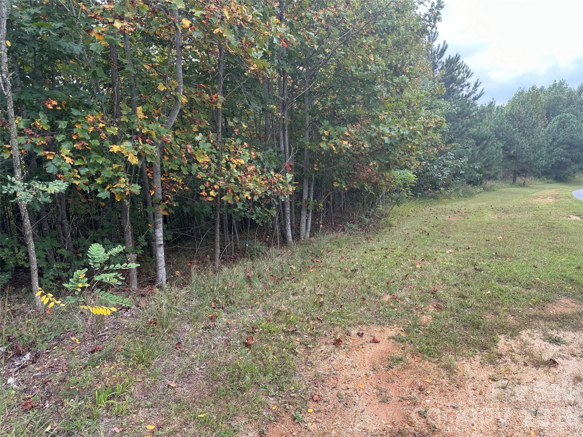 311 Scenic Vista Drive #254 - Photo 5