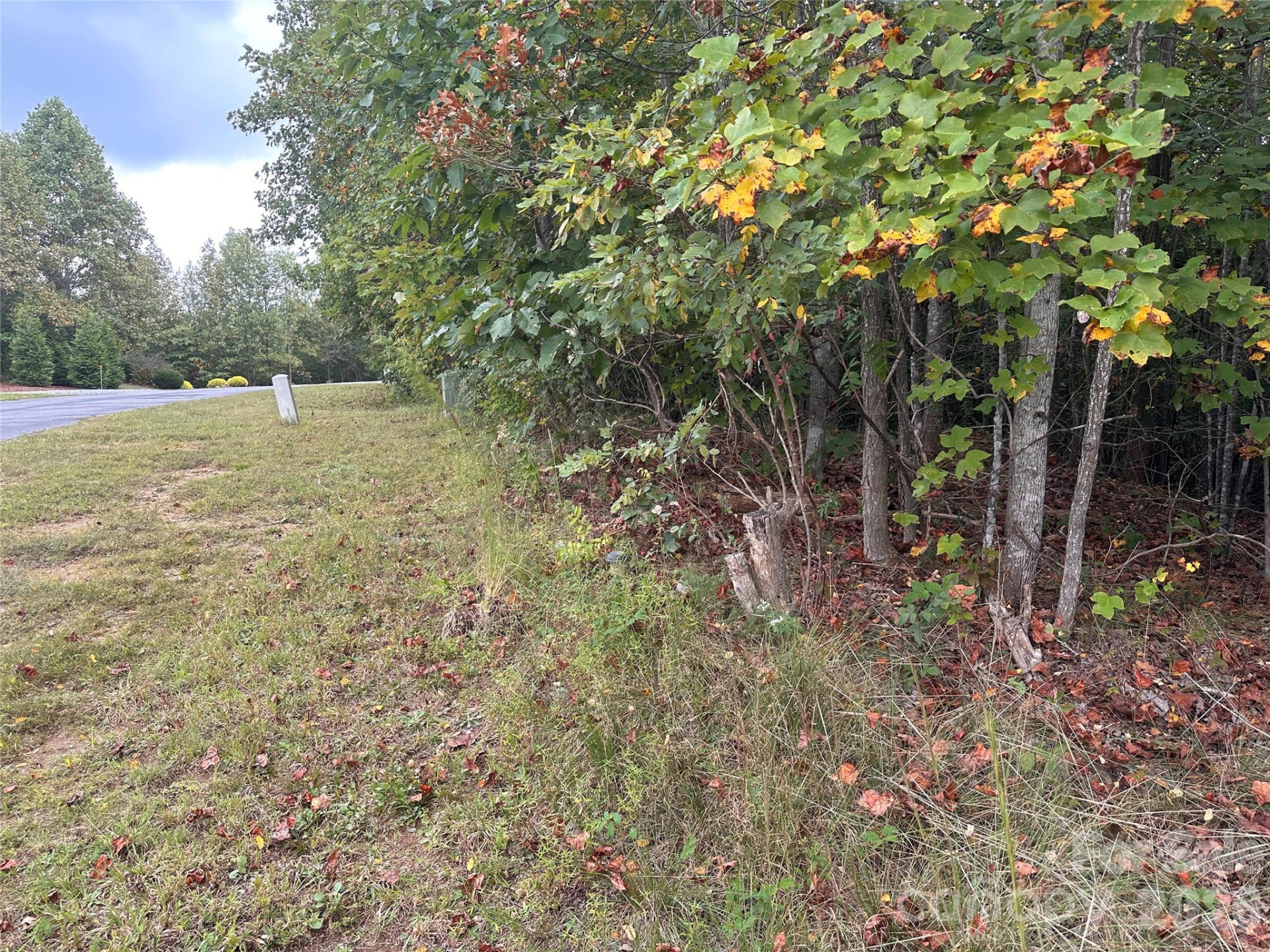 311 Scenic Vista Drive #254 - Photo 6