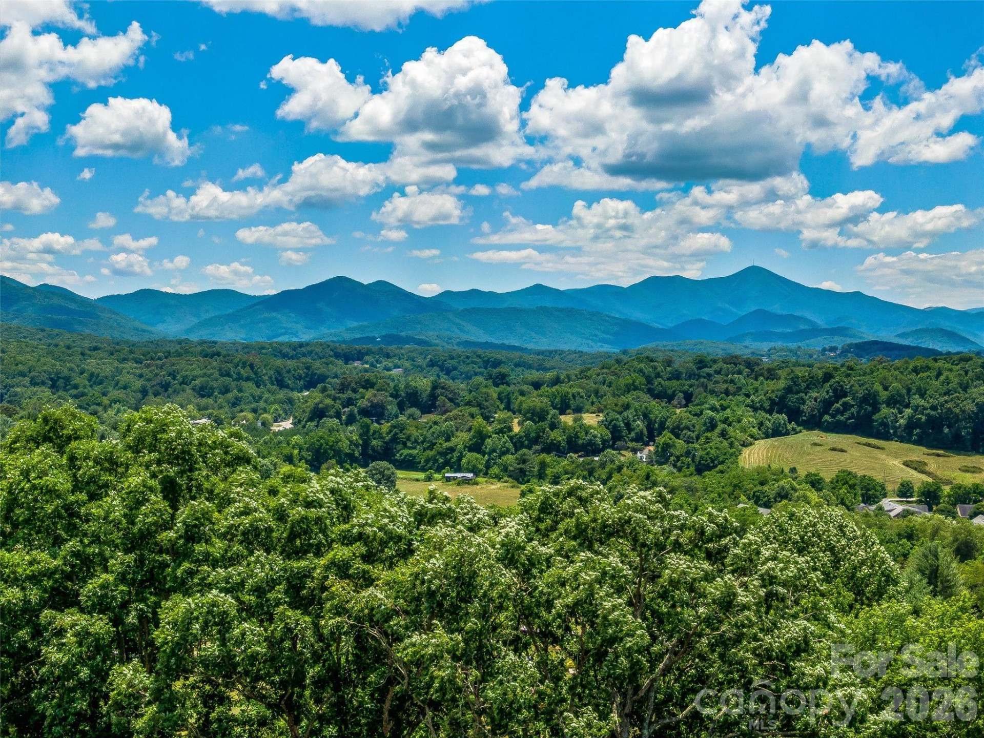 29 Tall Oaks Road - Photo 33