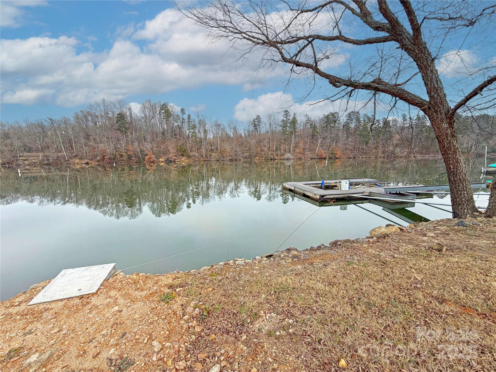 207 Catawba Avenue - Photo 4