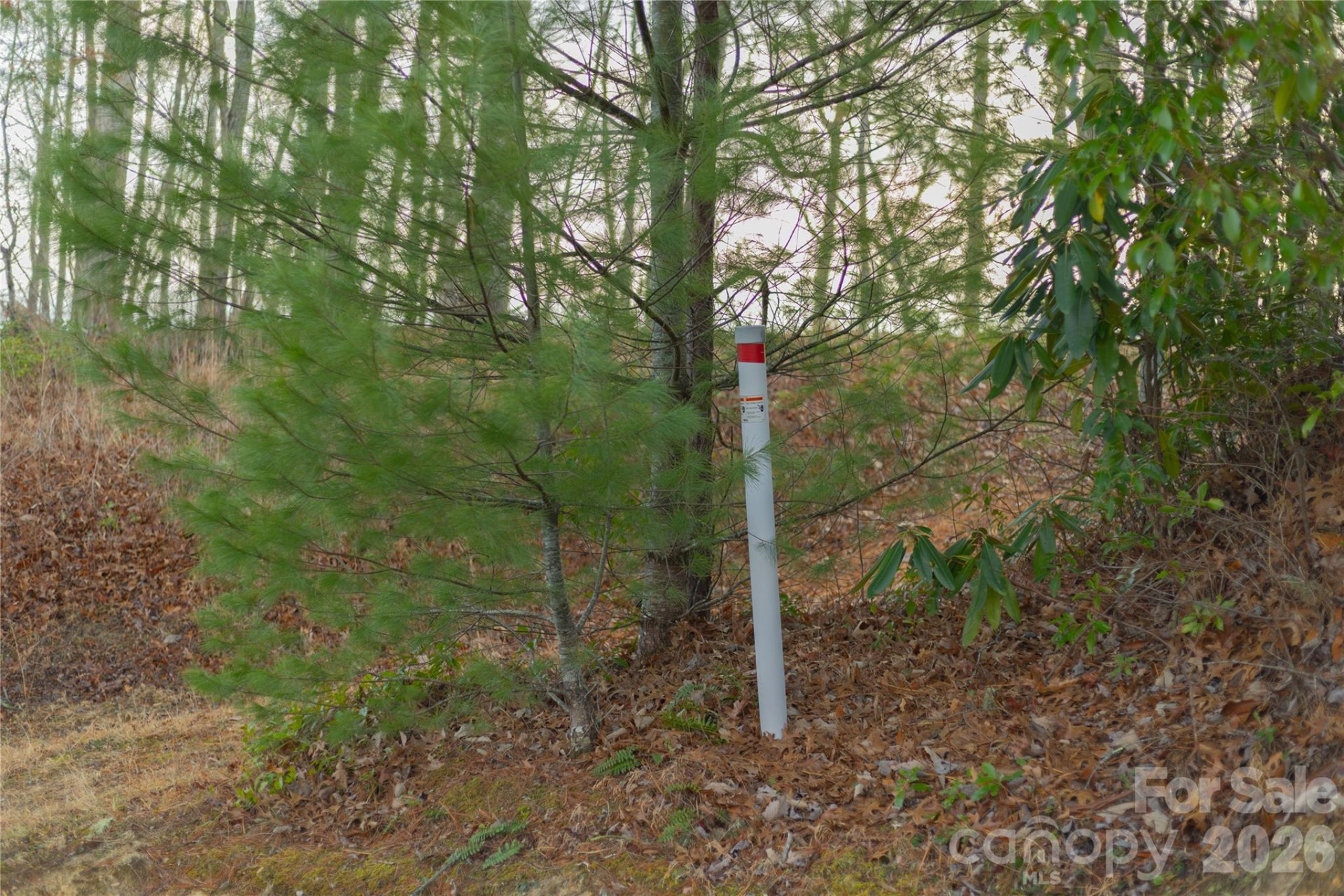 0000 Tsali Crossing #25 - Photo 14