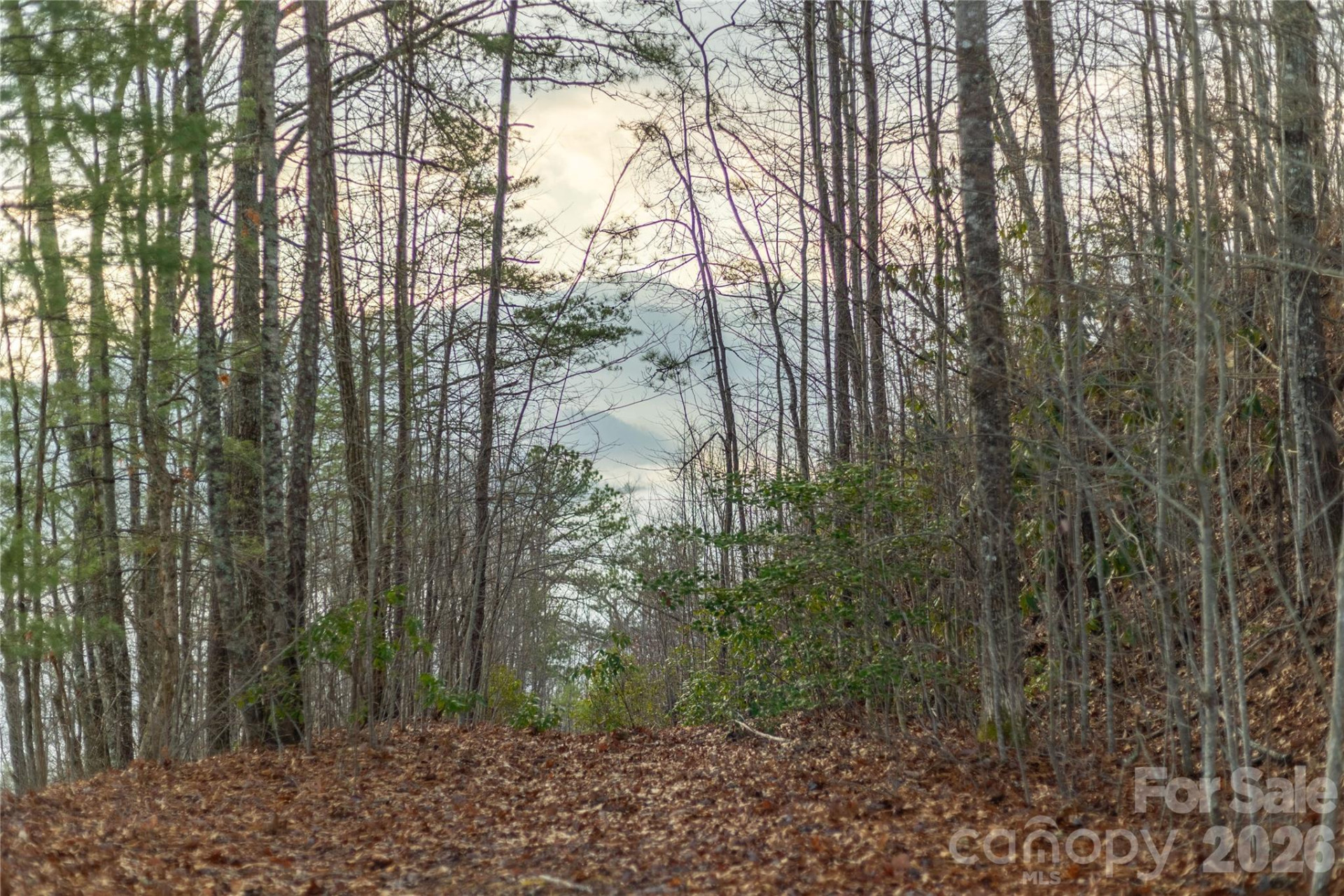 0000 Tsali Crossing #25 - Photo 15