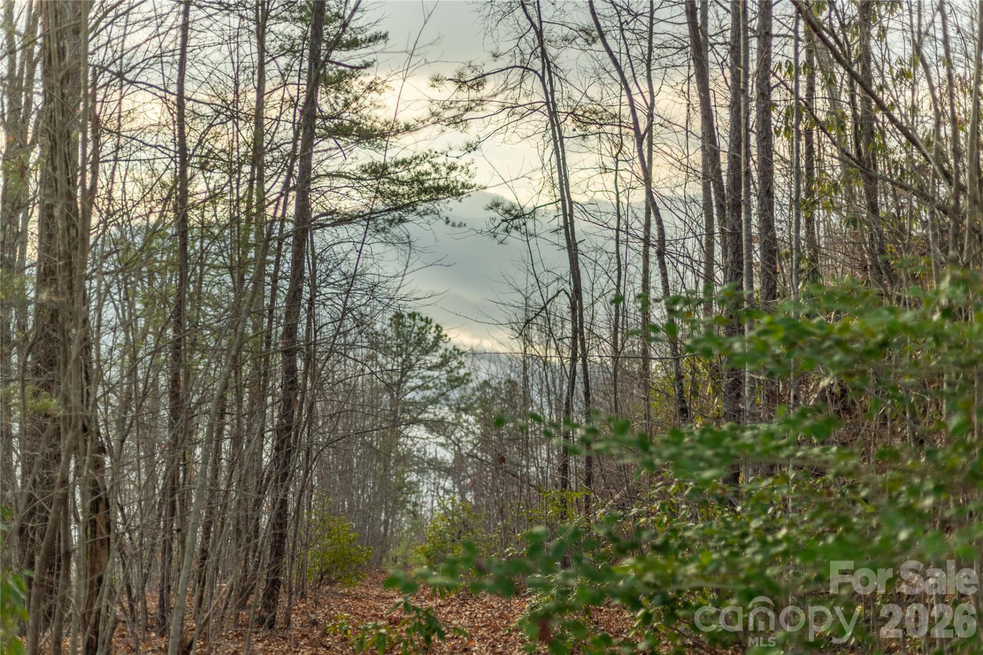 0000 Tsali Crossing #25 - Photo 16