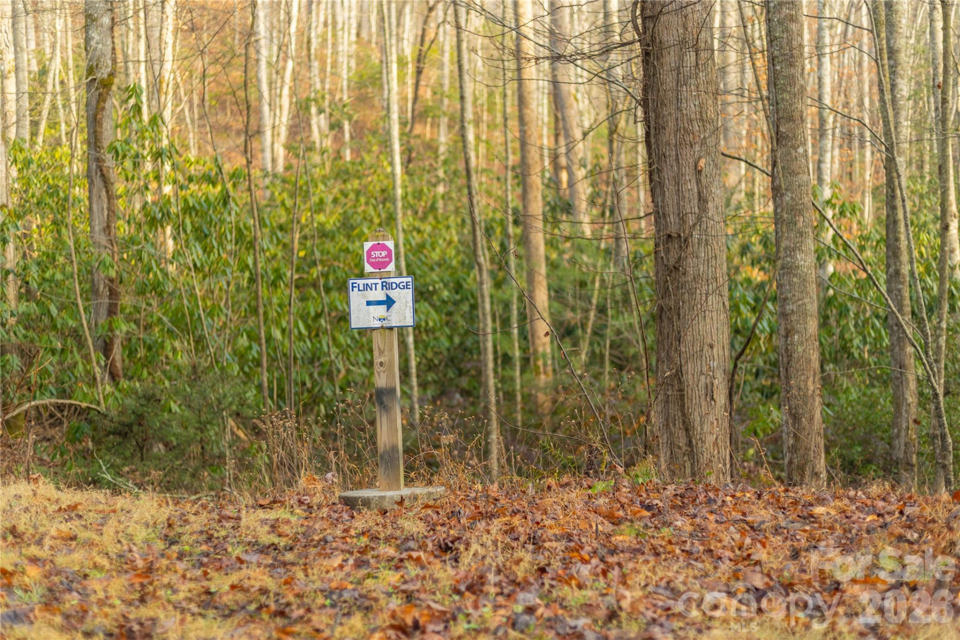 0000 Tsali Crossing #25 - Photo 29