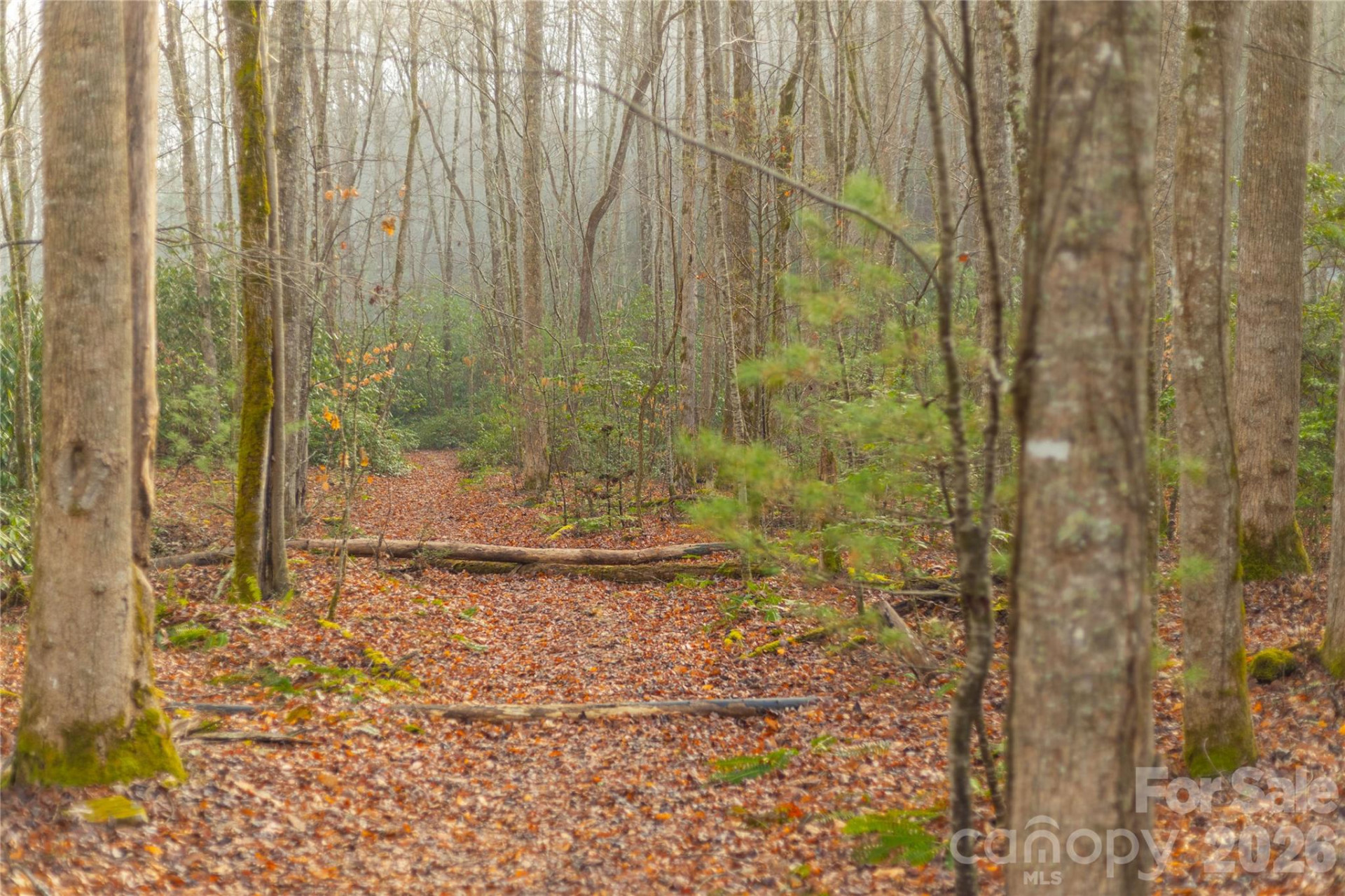 0000 Tsali Crossing #25 - Photo 30