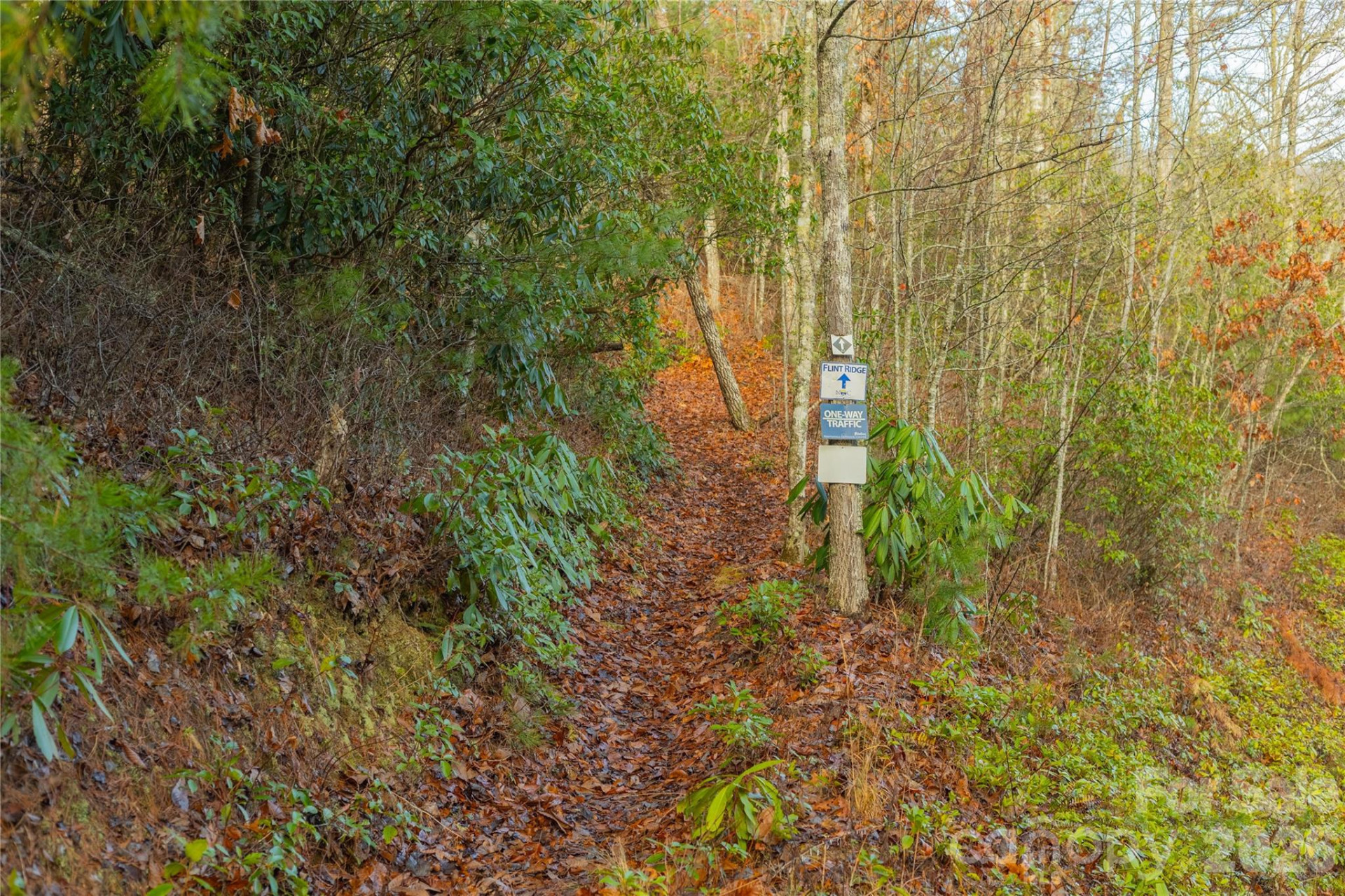 0000 Tsali Crossing #25 - Photo 31