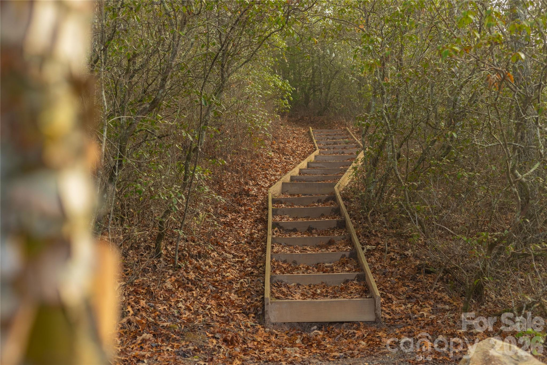 0000 Tsali Crossing #25 - Photo 33