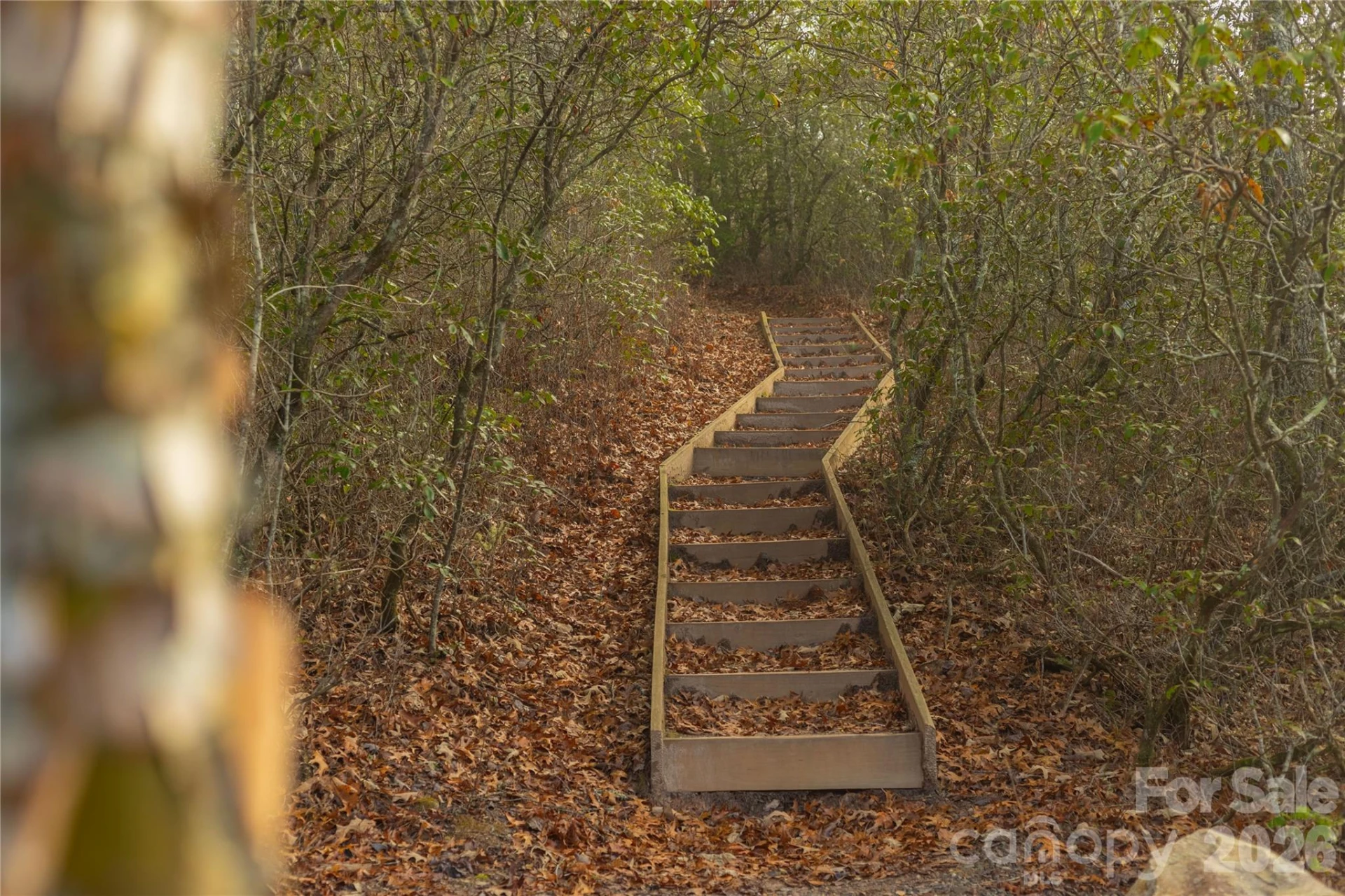 0000 Tsali Crossing #25 - Photo 33
