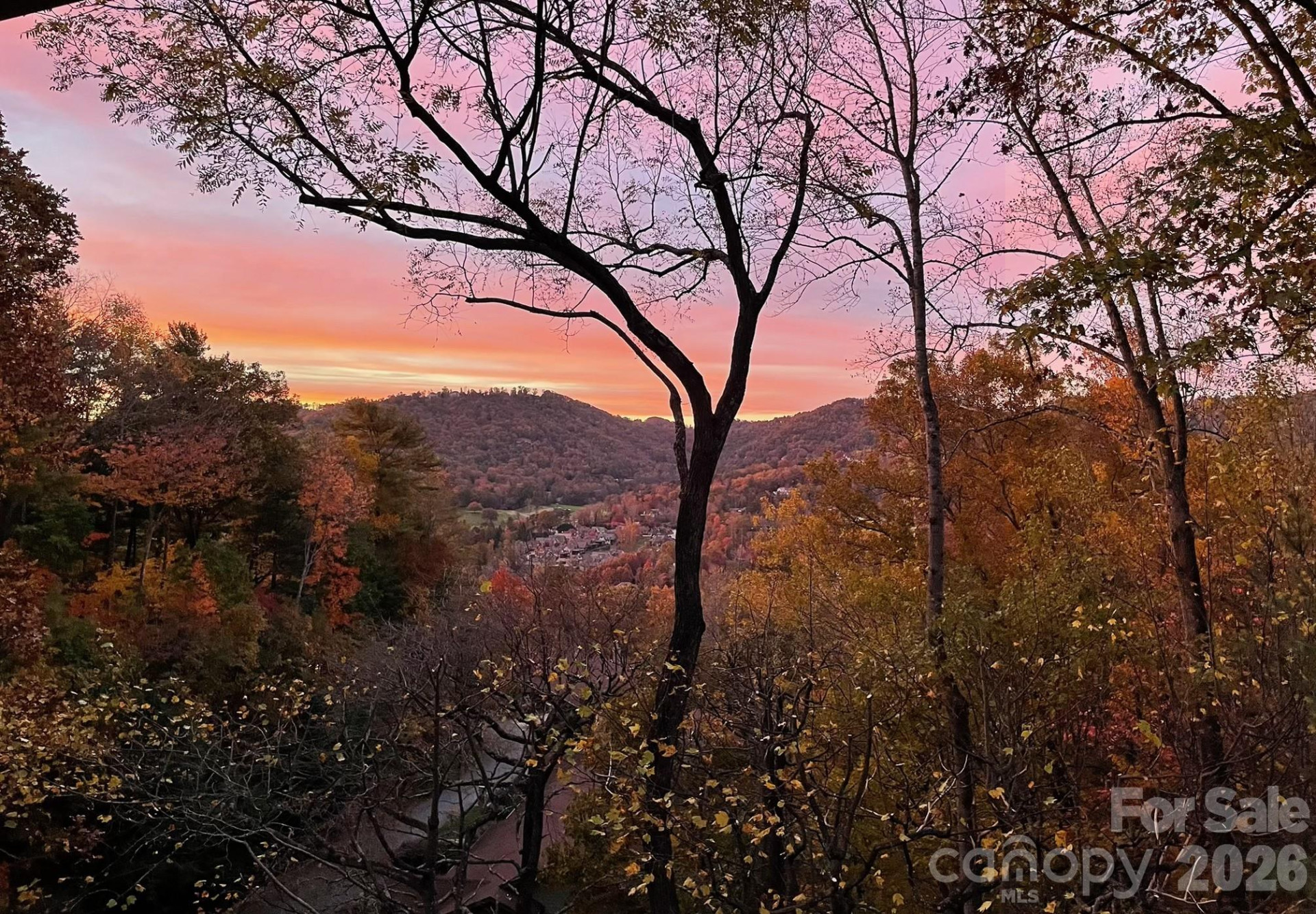 3302 Timber Trail - Photo 2