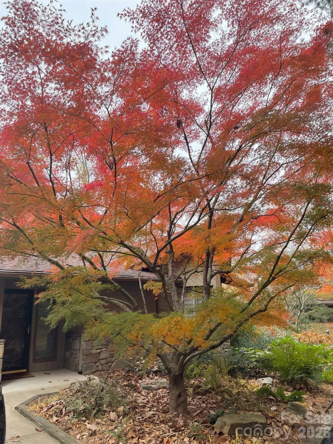 3302 Timber Trail - Photo 43