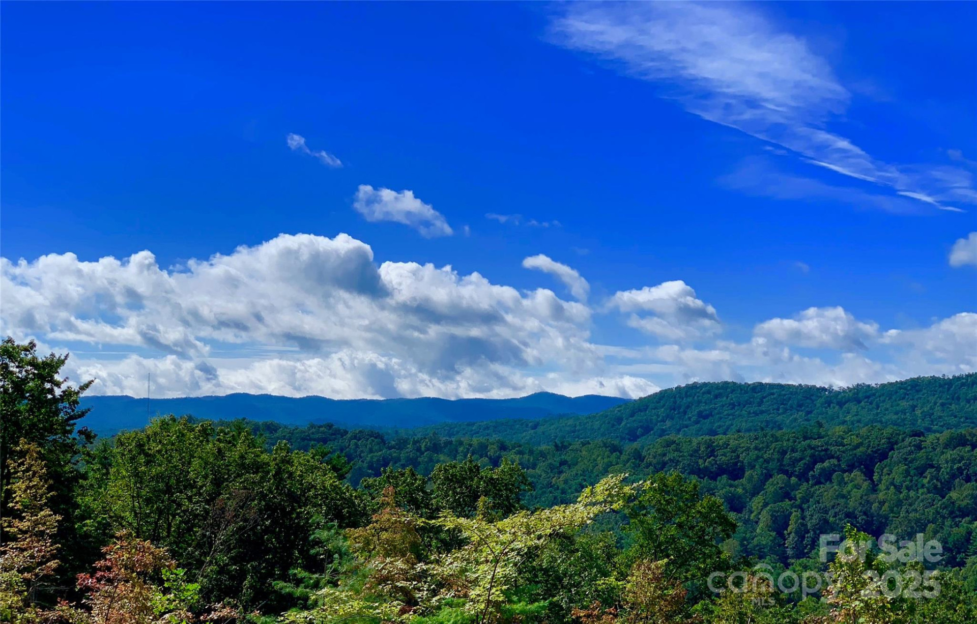 00 Marble Heights Trail #e11 - Photo 8