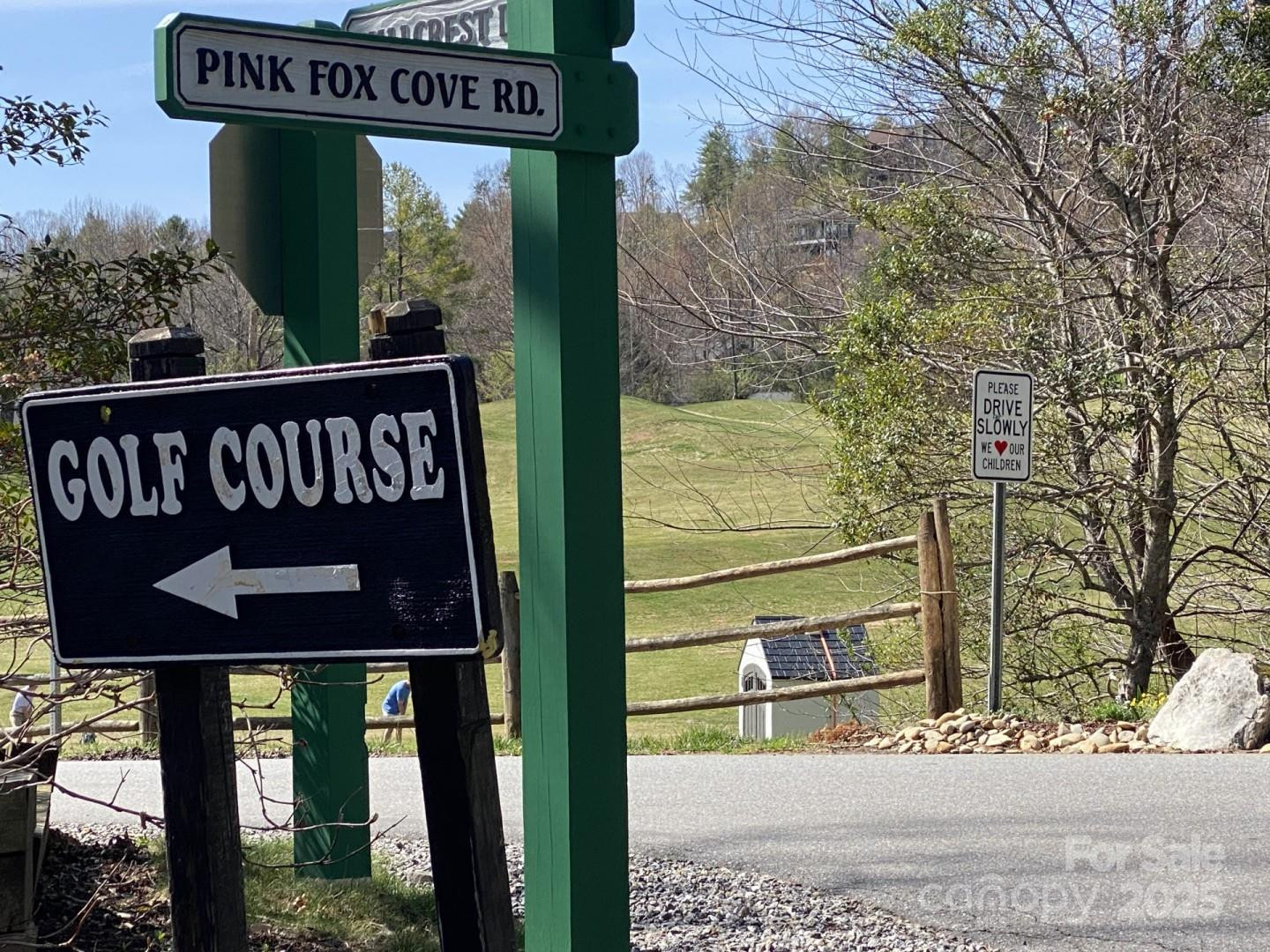 1 Pink Fox Cove Road - Photo 2