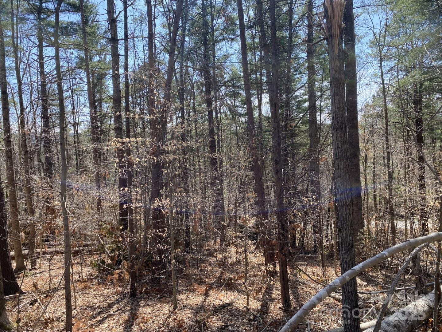 1 Pink Fox Cove Road - Photo 11