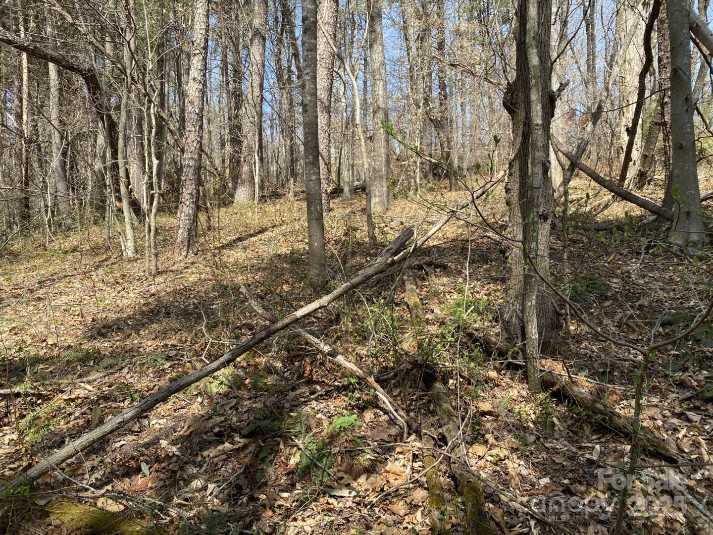 1 Pink Fox Cove Road - Photo 12