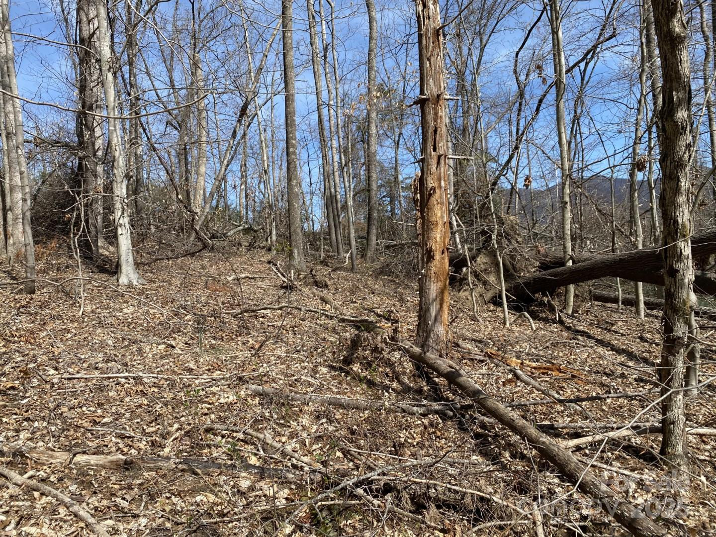 1 Pink Fox Cove Road - Photo 13