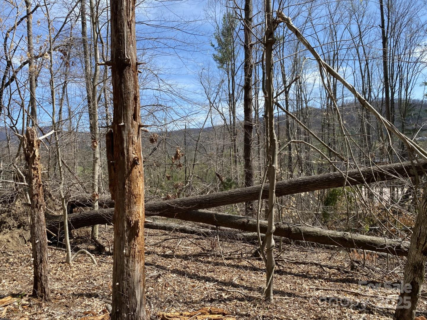 1 Pink Fox Cove Road - Photo 7