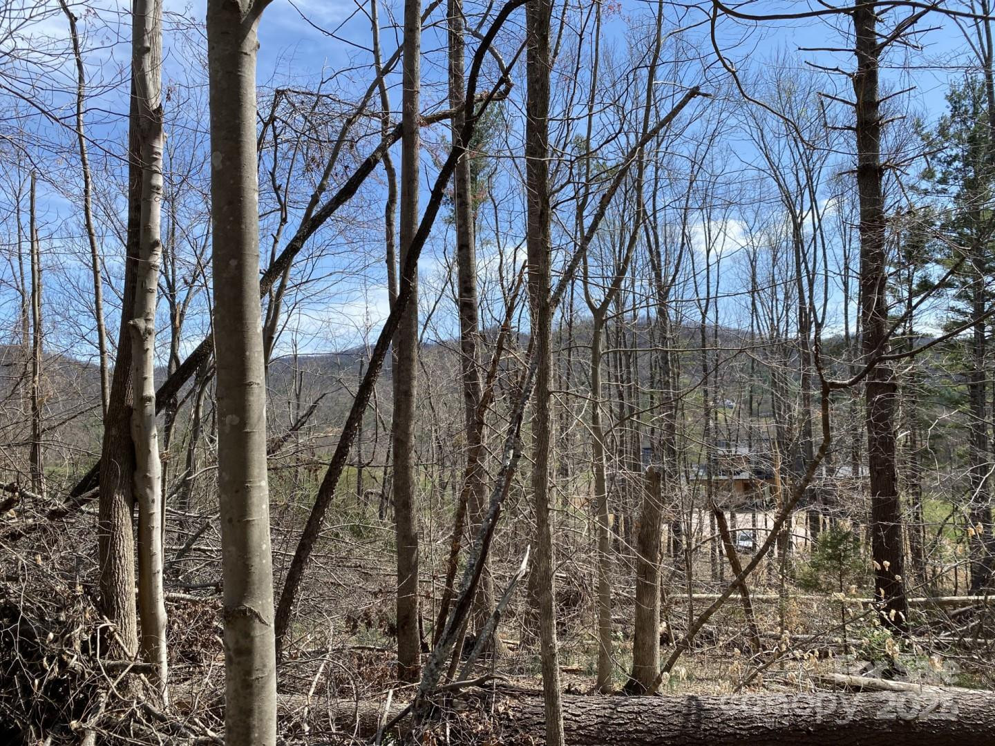 1 Pink Fox Cove Road - Photo 8