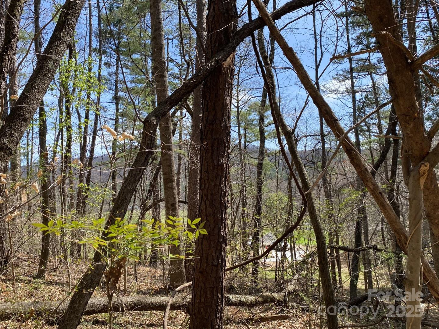 1 Pink Fox Cove Road - Photo 9