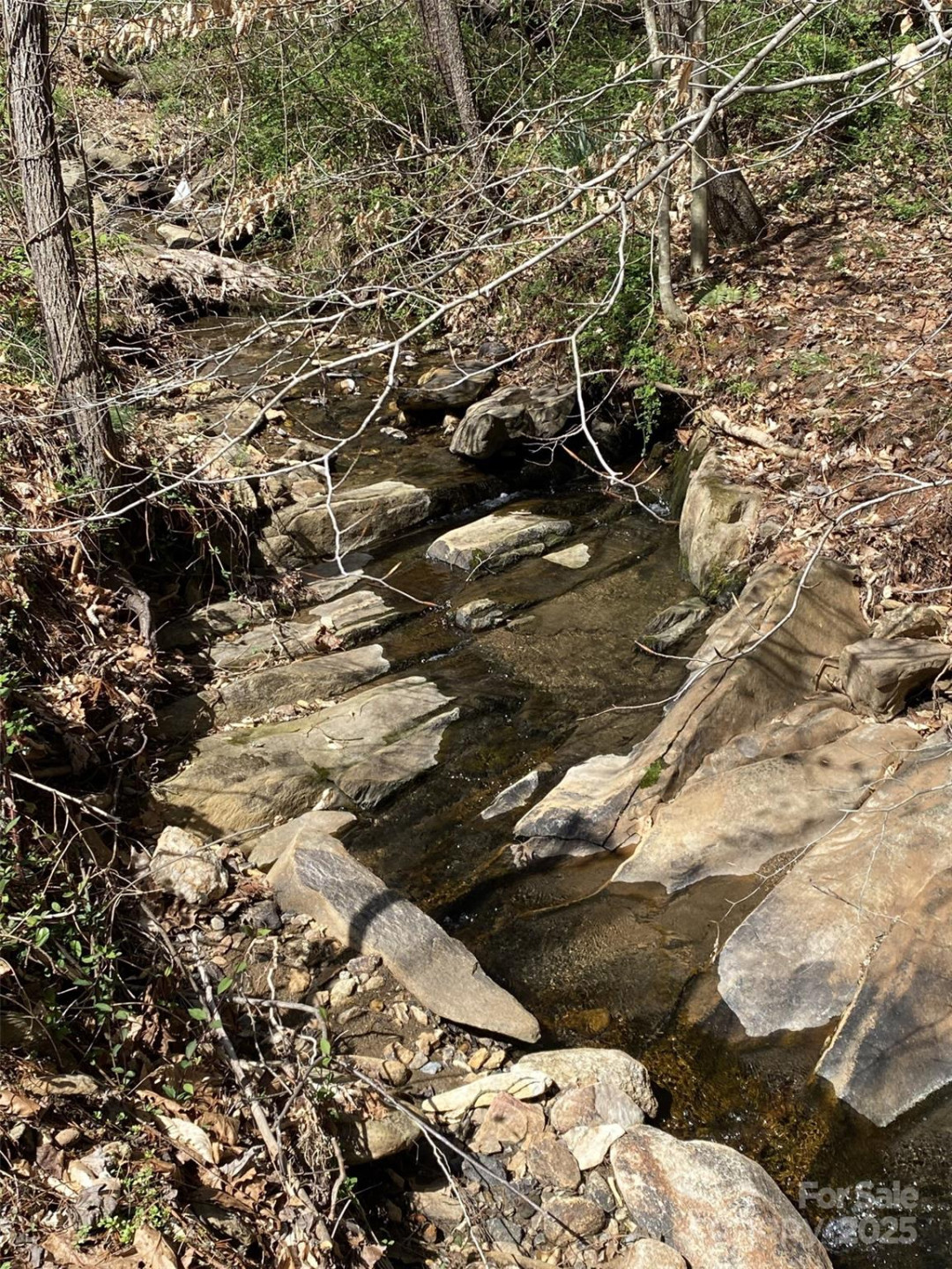 1 Pink Fox Cove Road - Photo 10