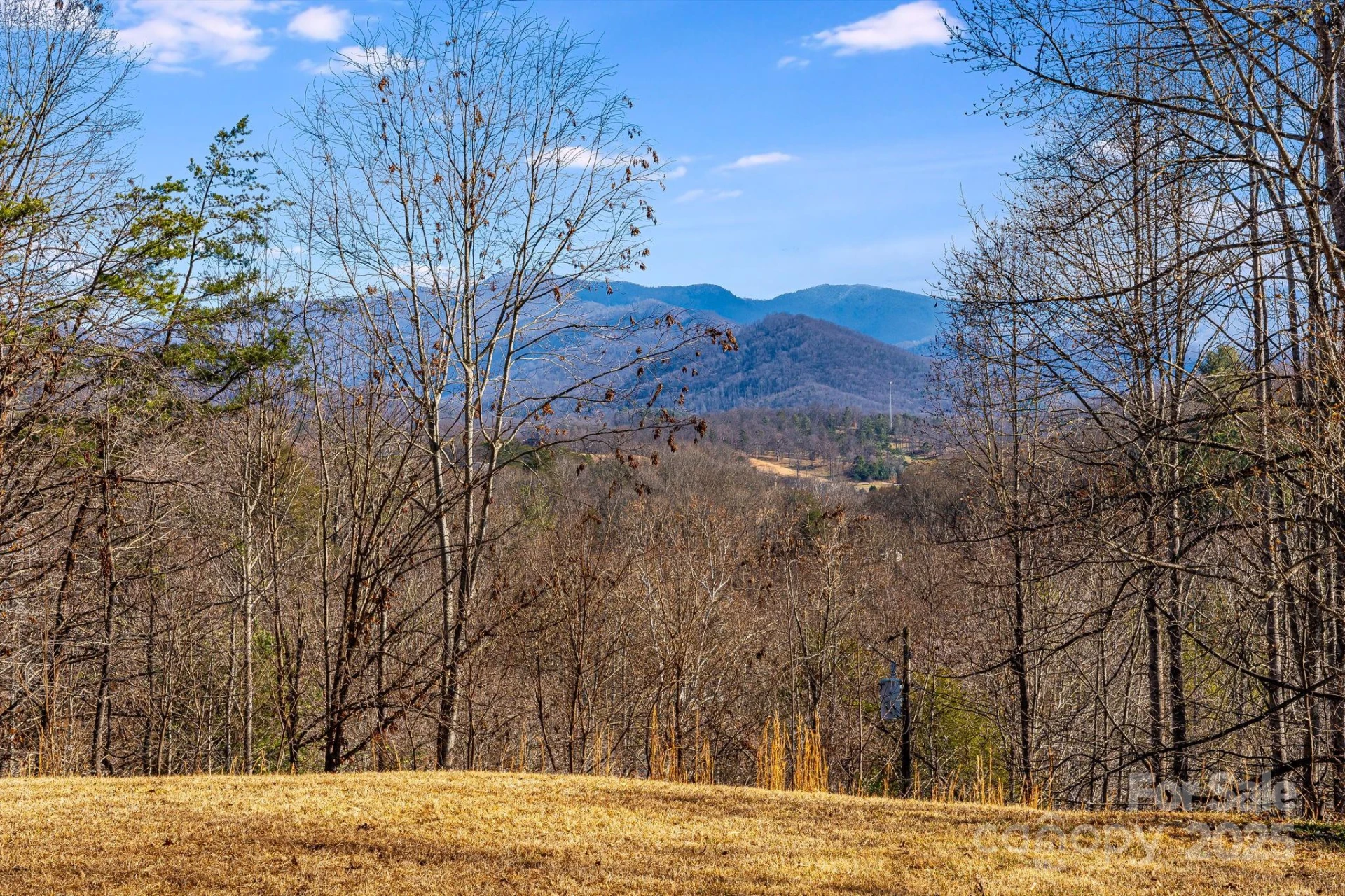 15 Cyrus Lane - Photo 34