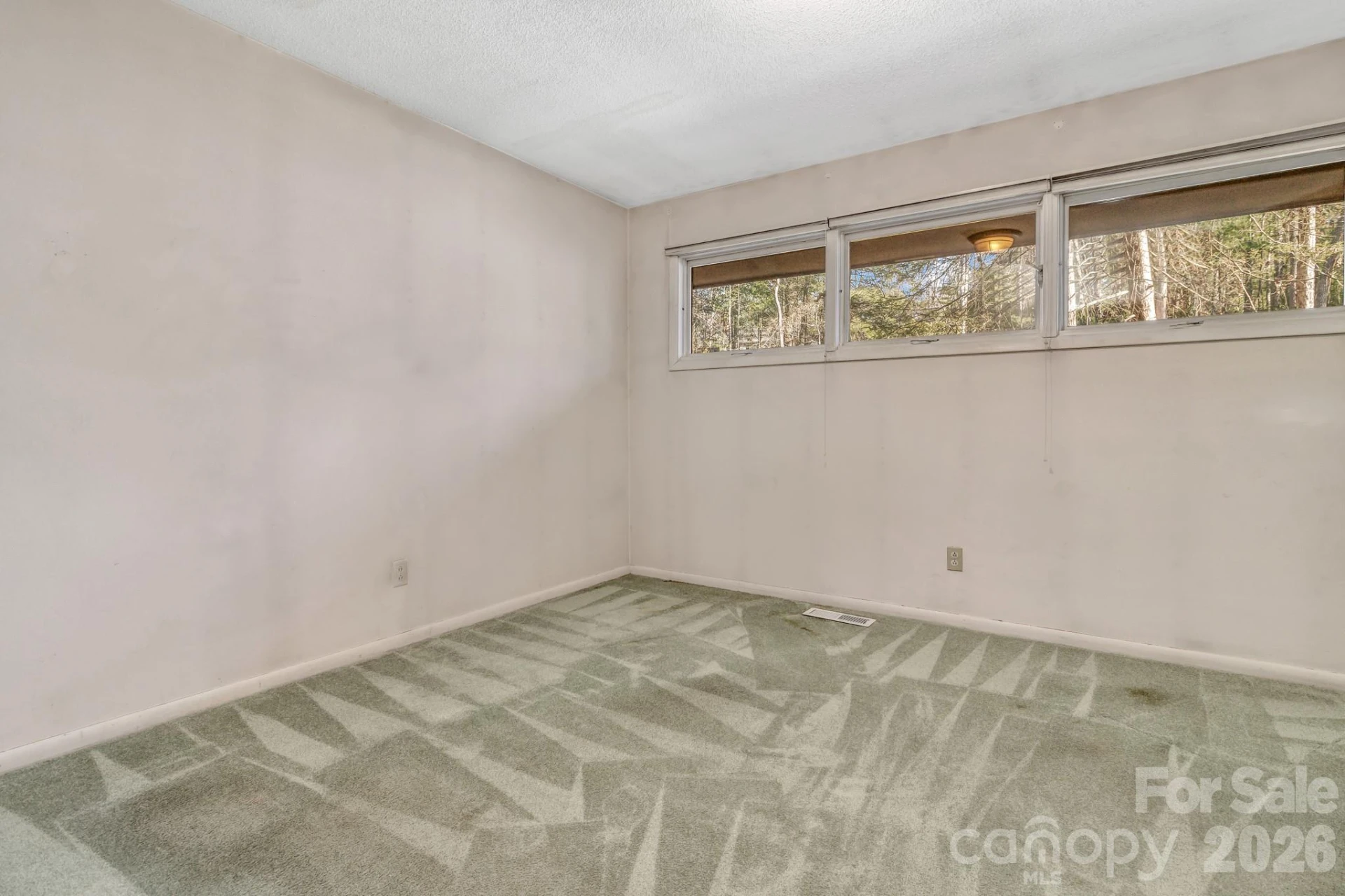 3 Frith Drive - Photo 35