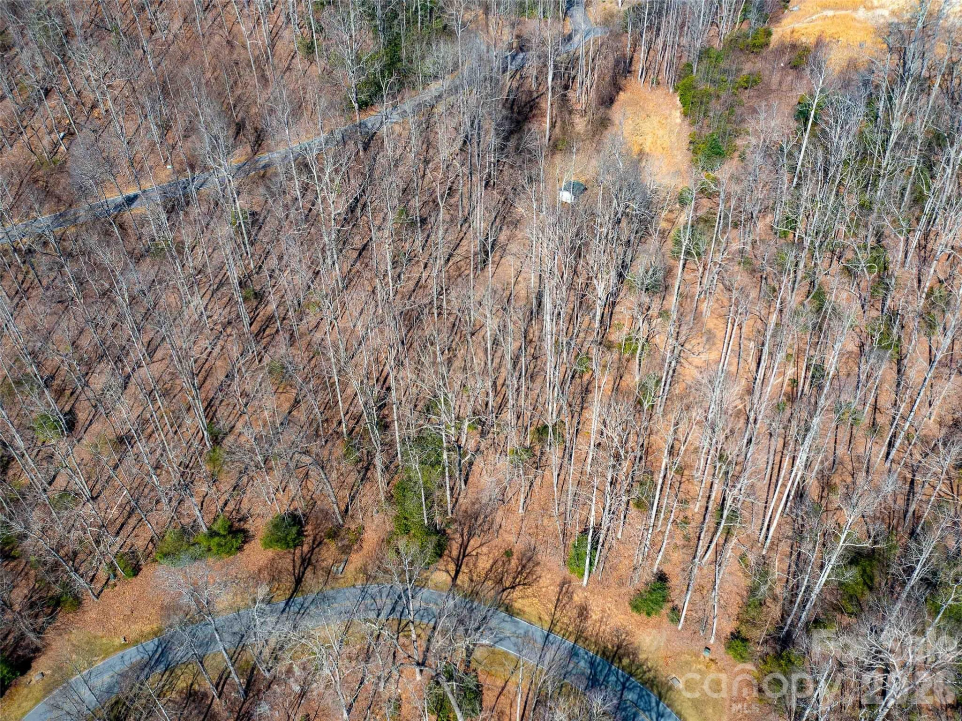 00 Chattooga Run #292R - Photo 11